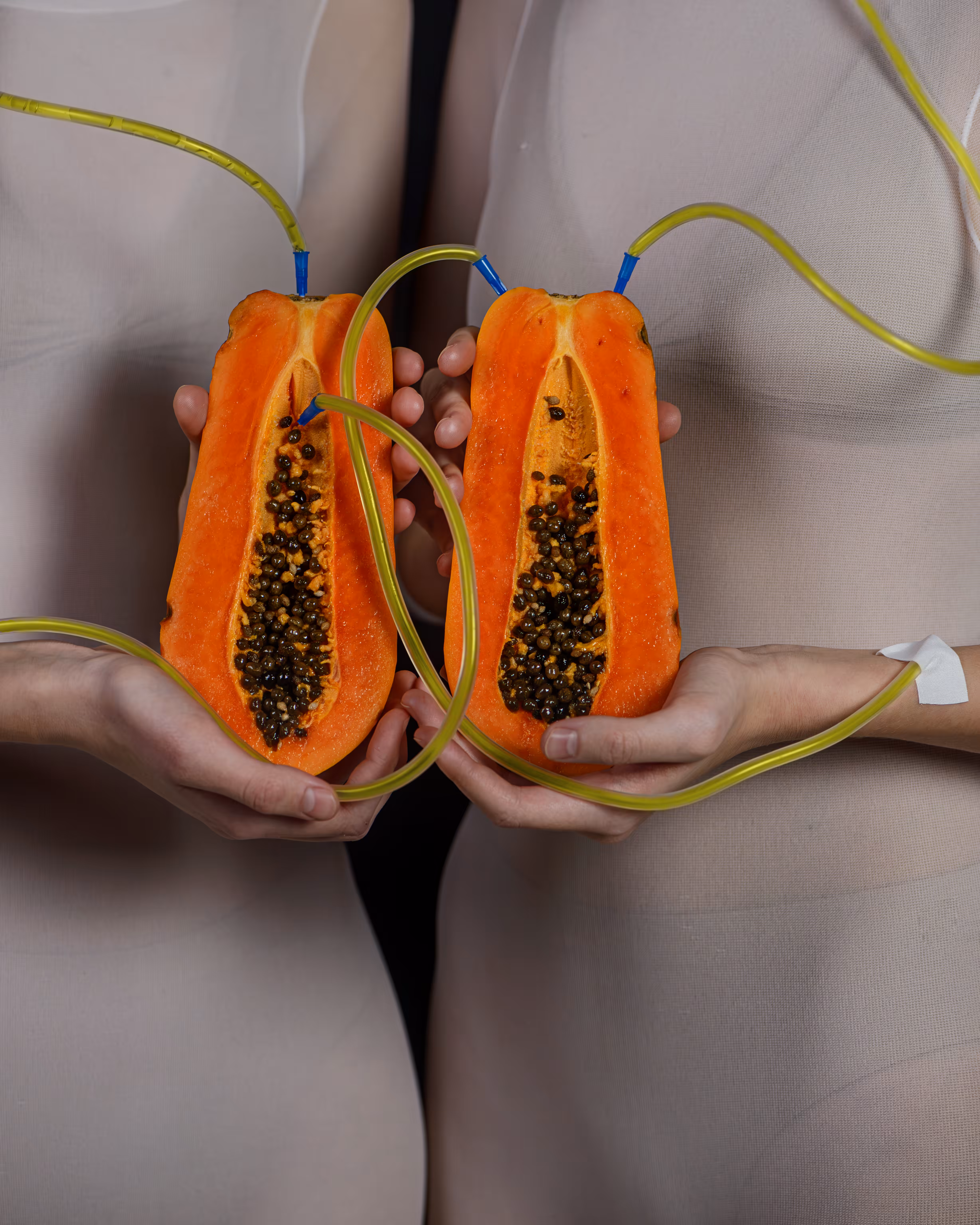 Papaya