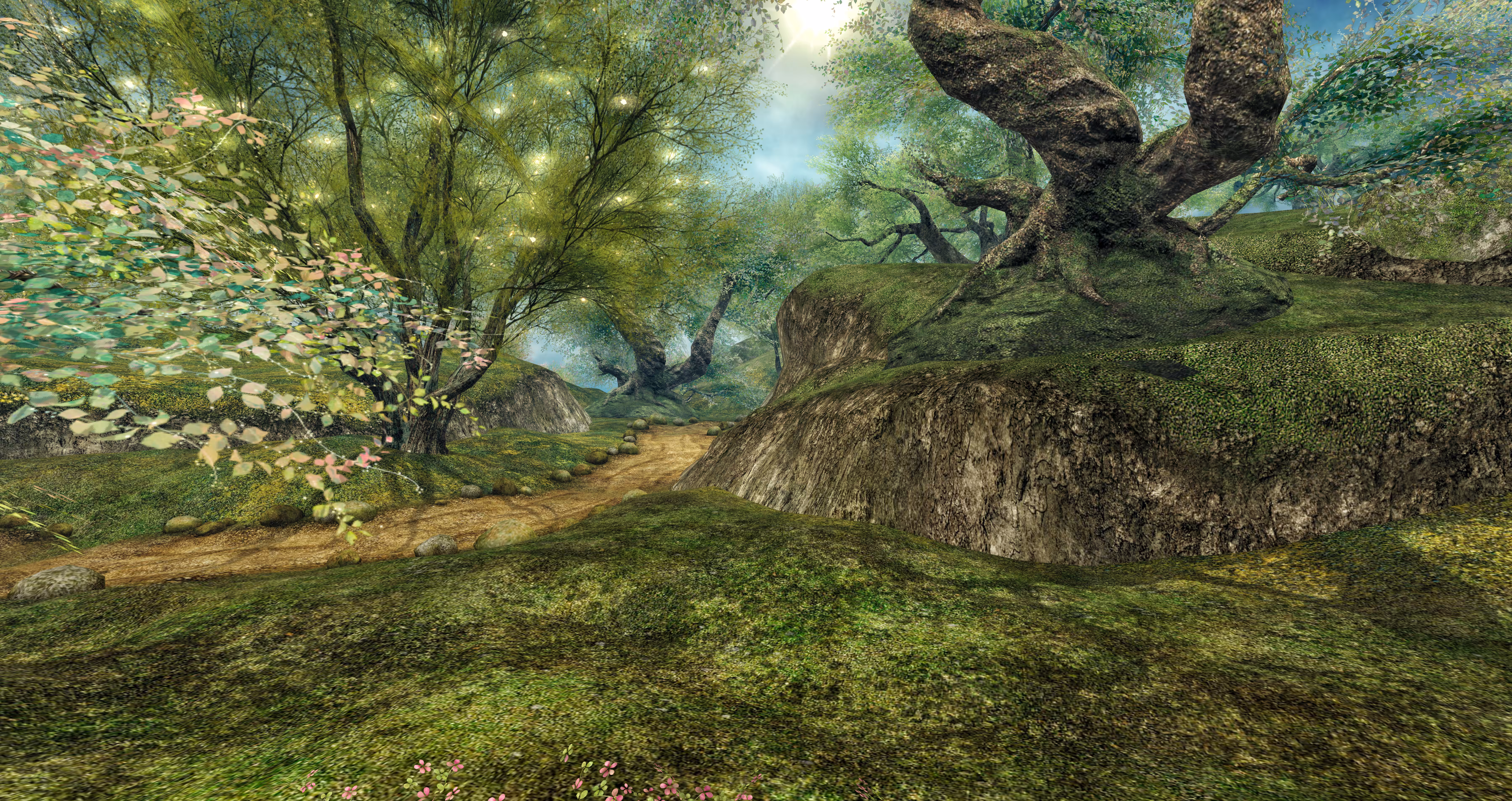 Forest