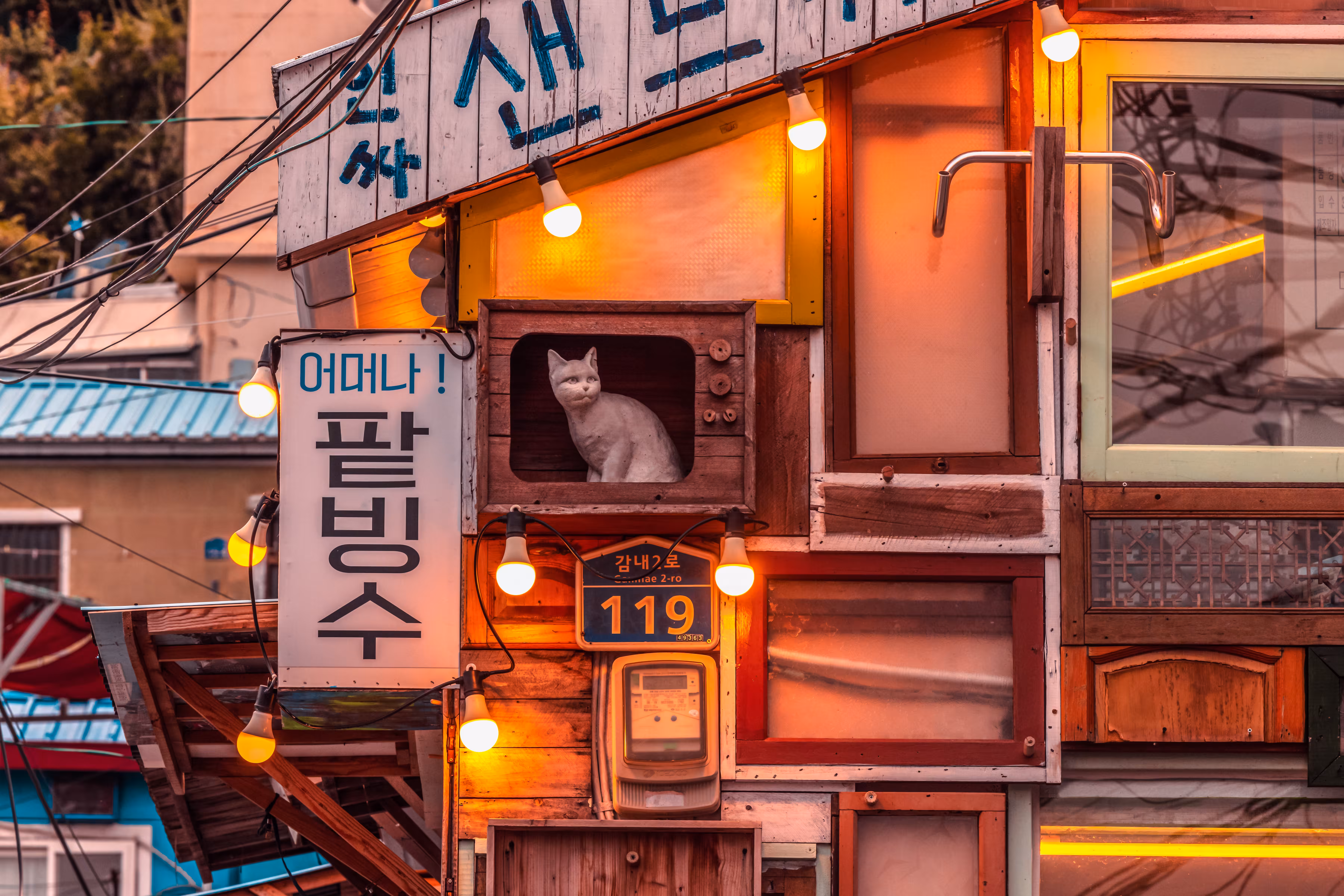 Stray Cat