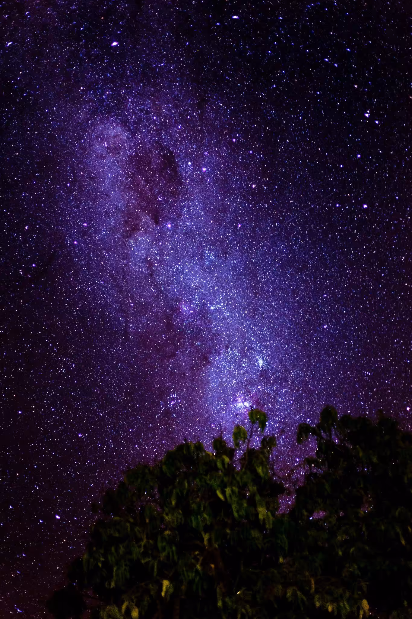 Tatanka Wakan in the stars