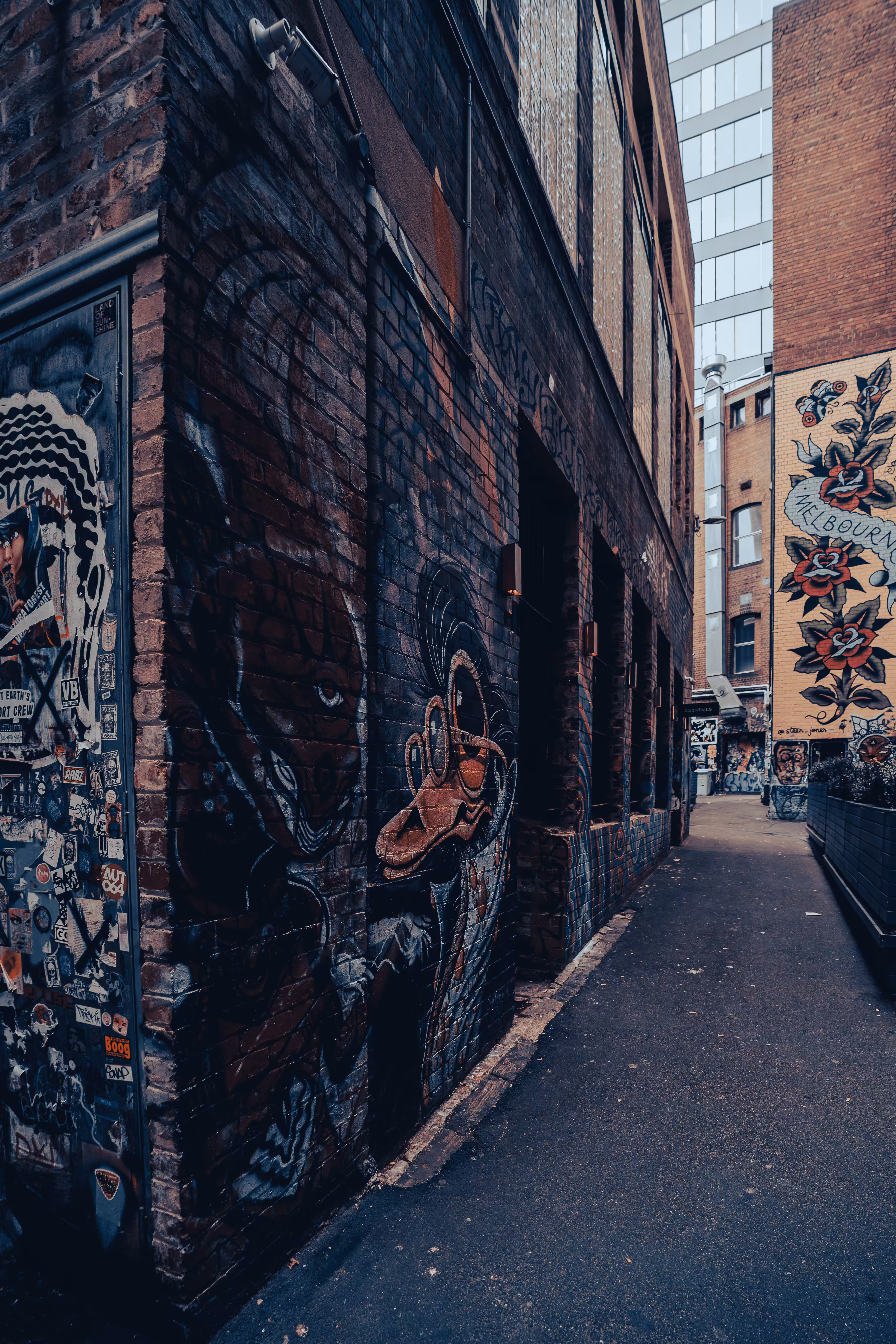 Laneways #1