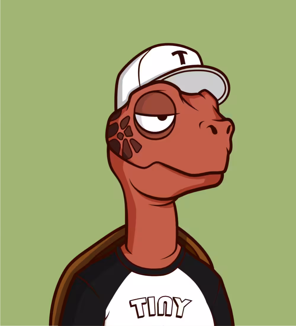 Tiny Turtle 204