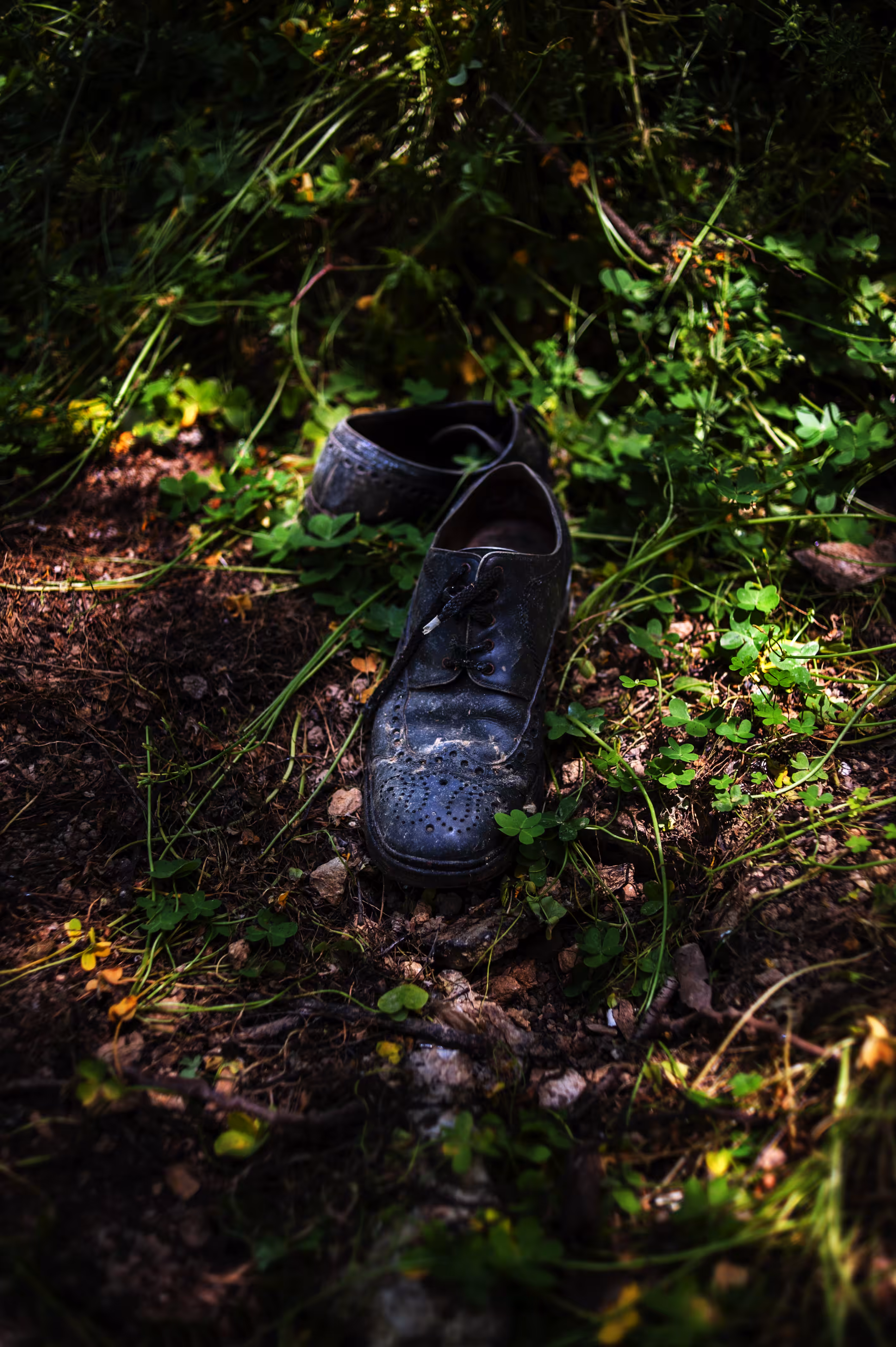 The Old Shoes