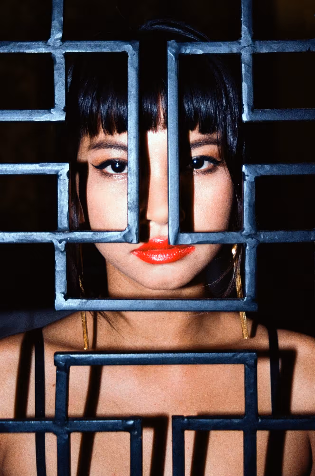 Birds in Cages (G H O S T S  #IV)