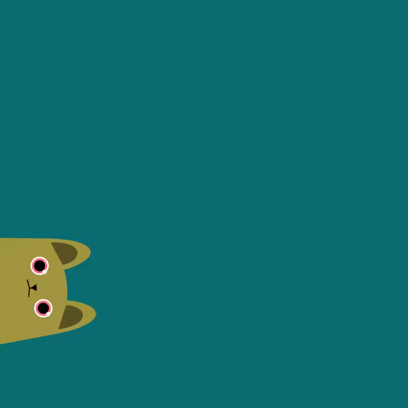 Where is the cat? #6