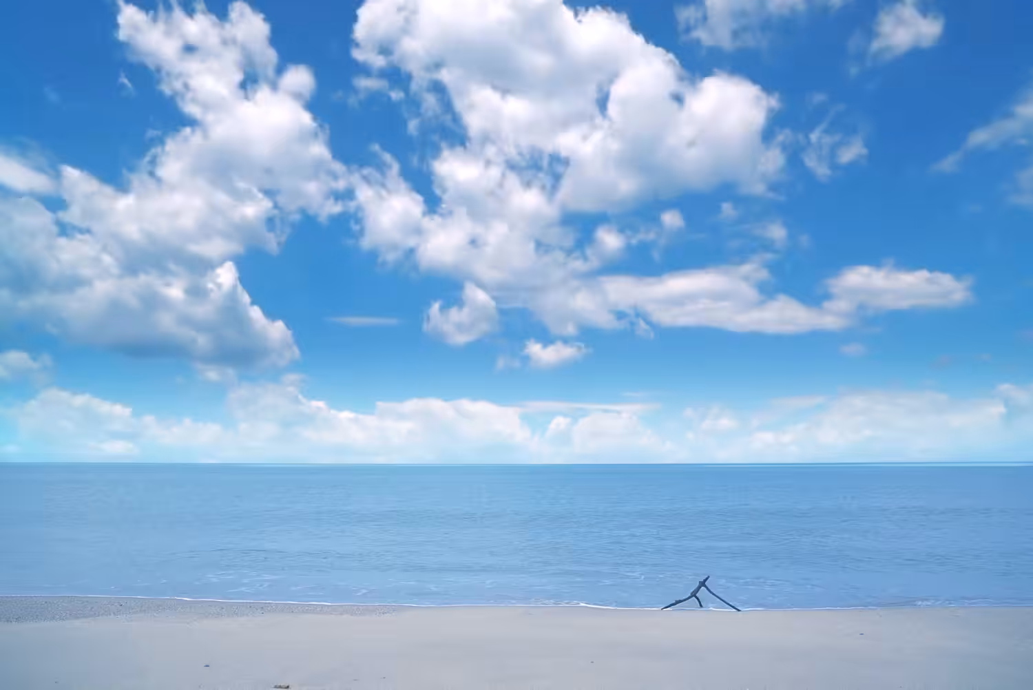 W H I T E #008
