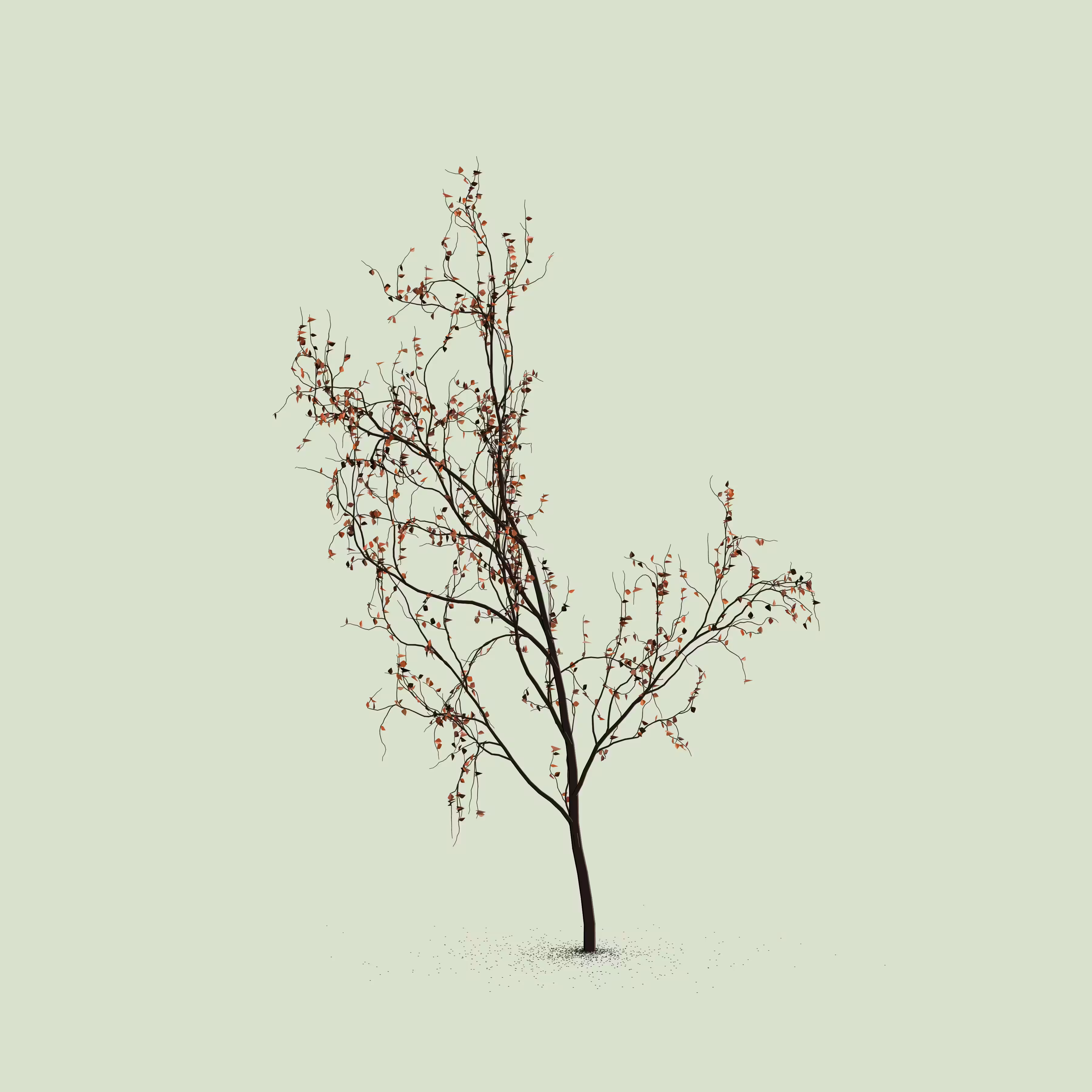 Little Trees