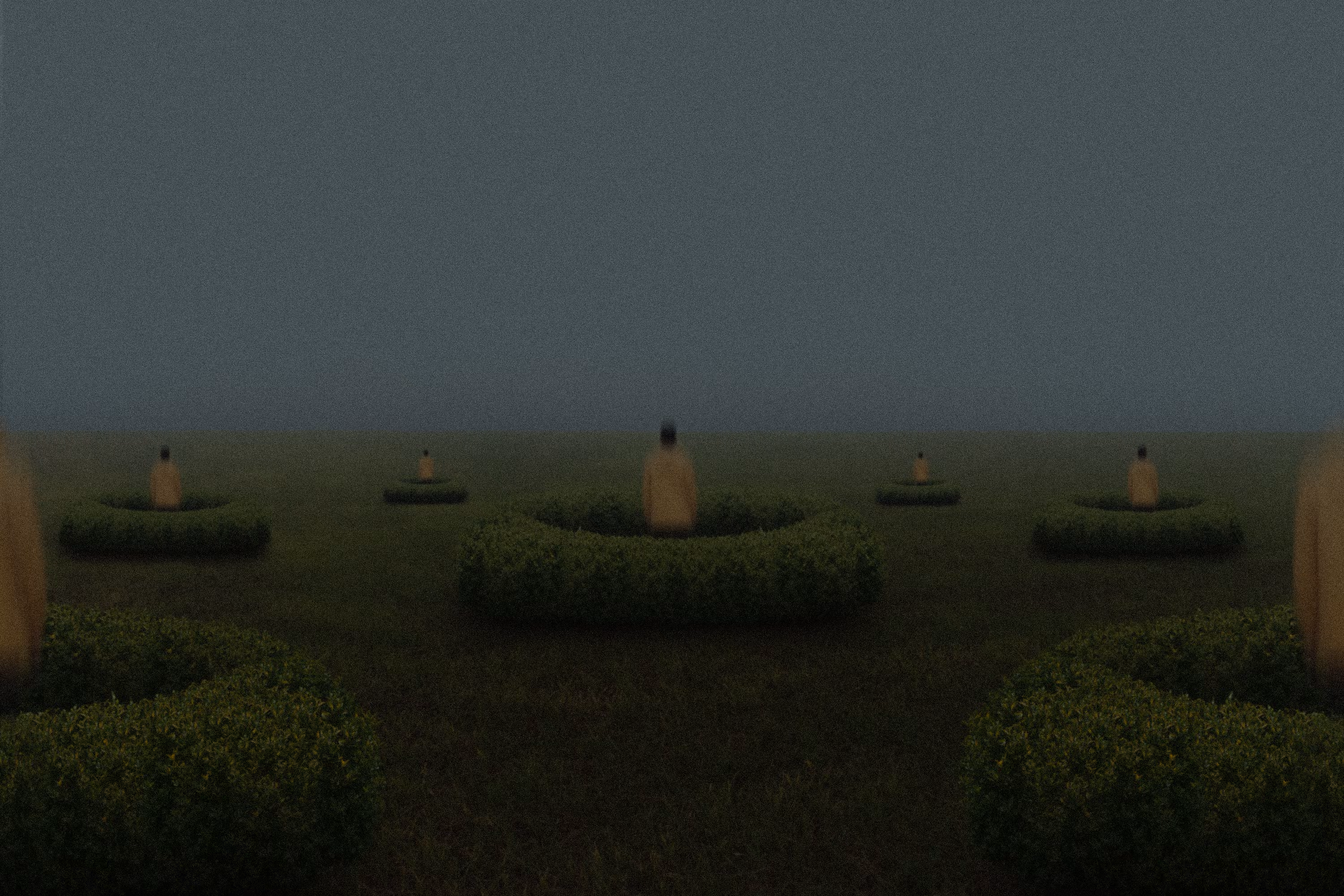 Silence Within the Hedge