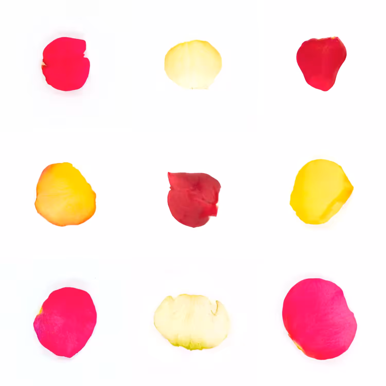 Infinite Petals 3x3#628
