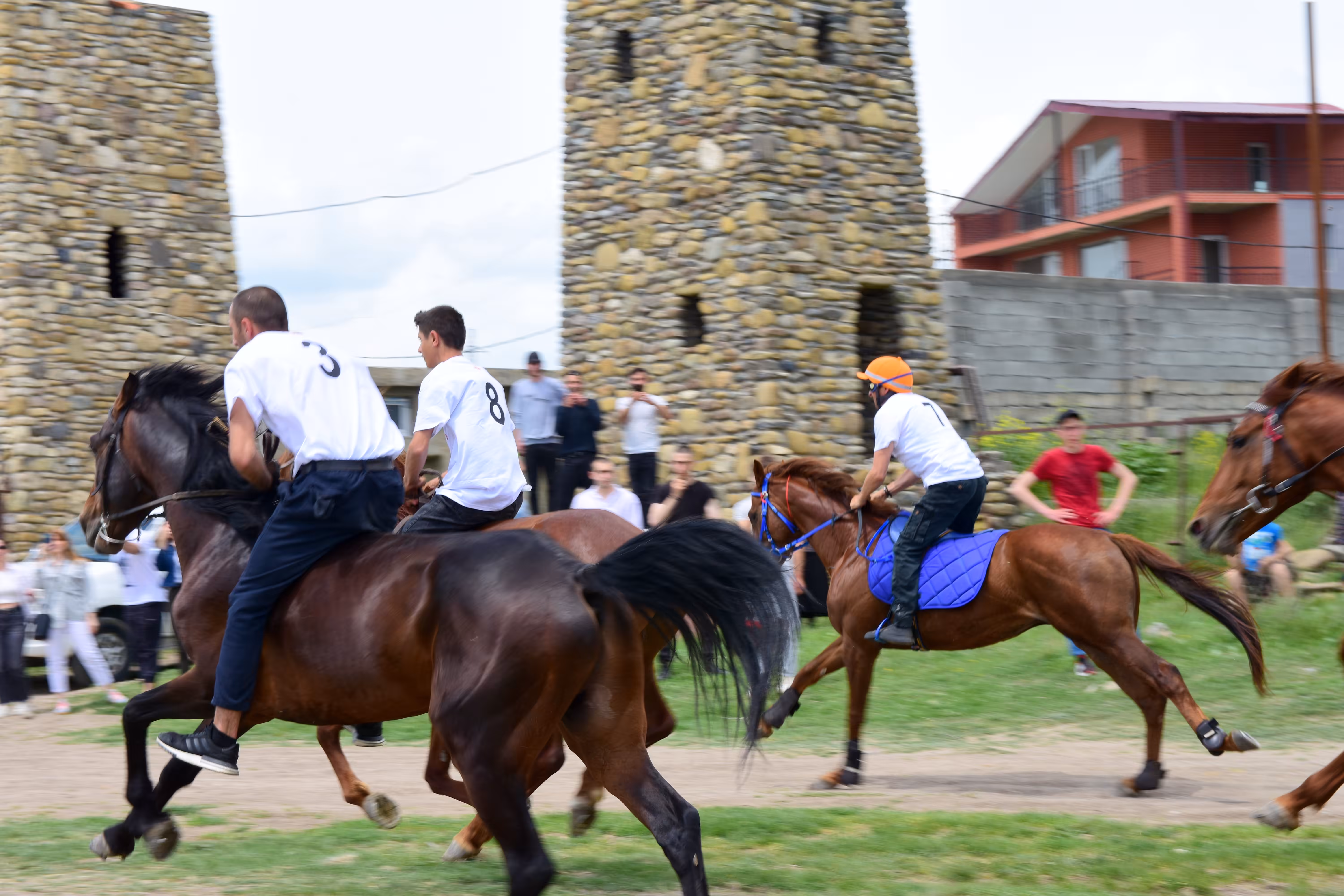 Horse Race 20