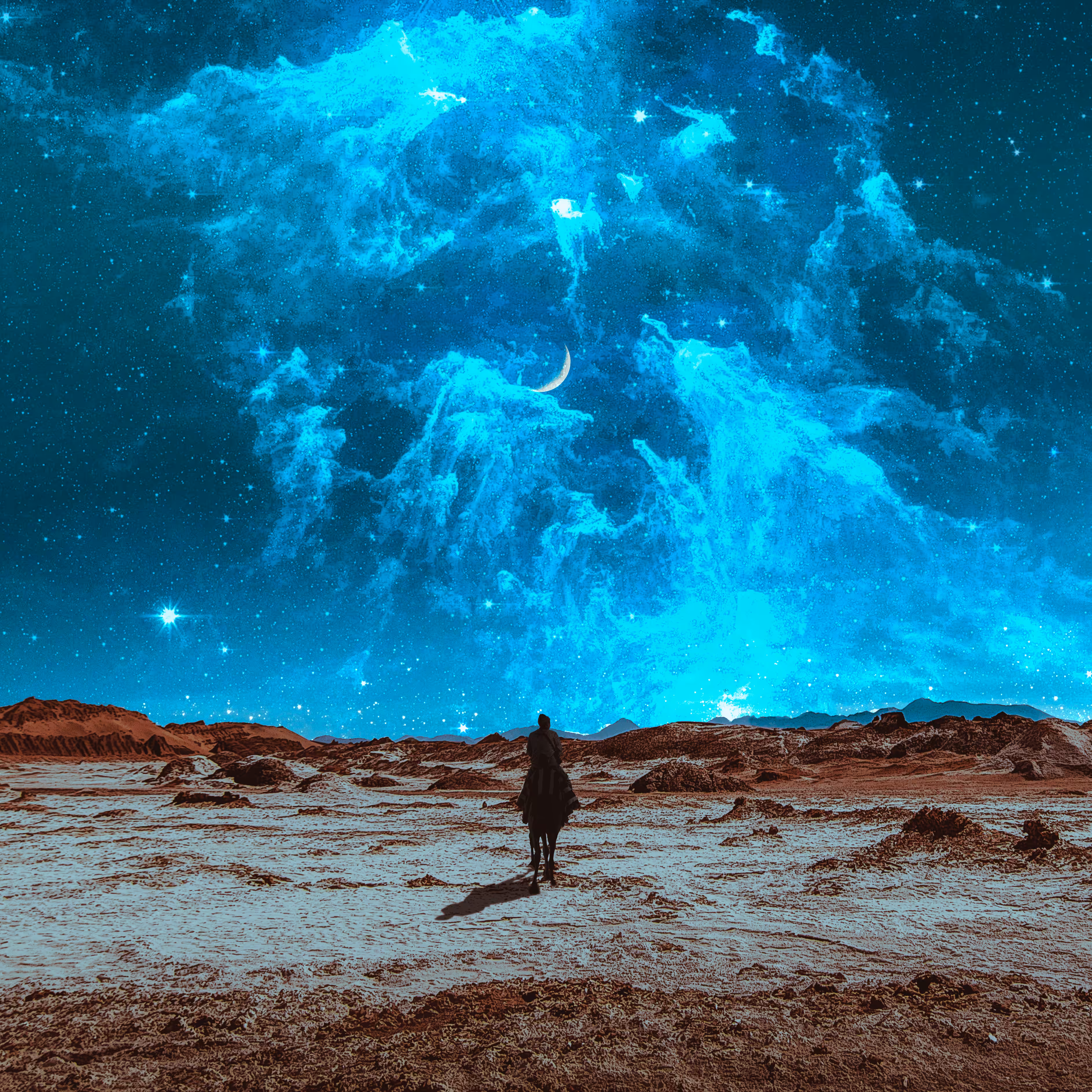 Traveler