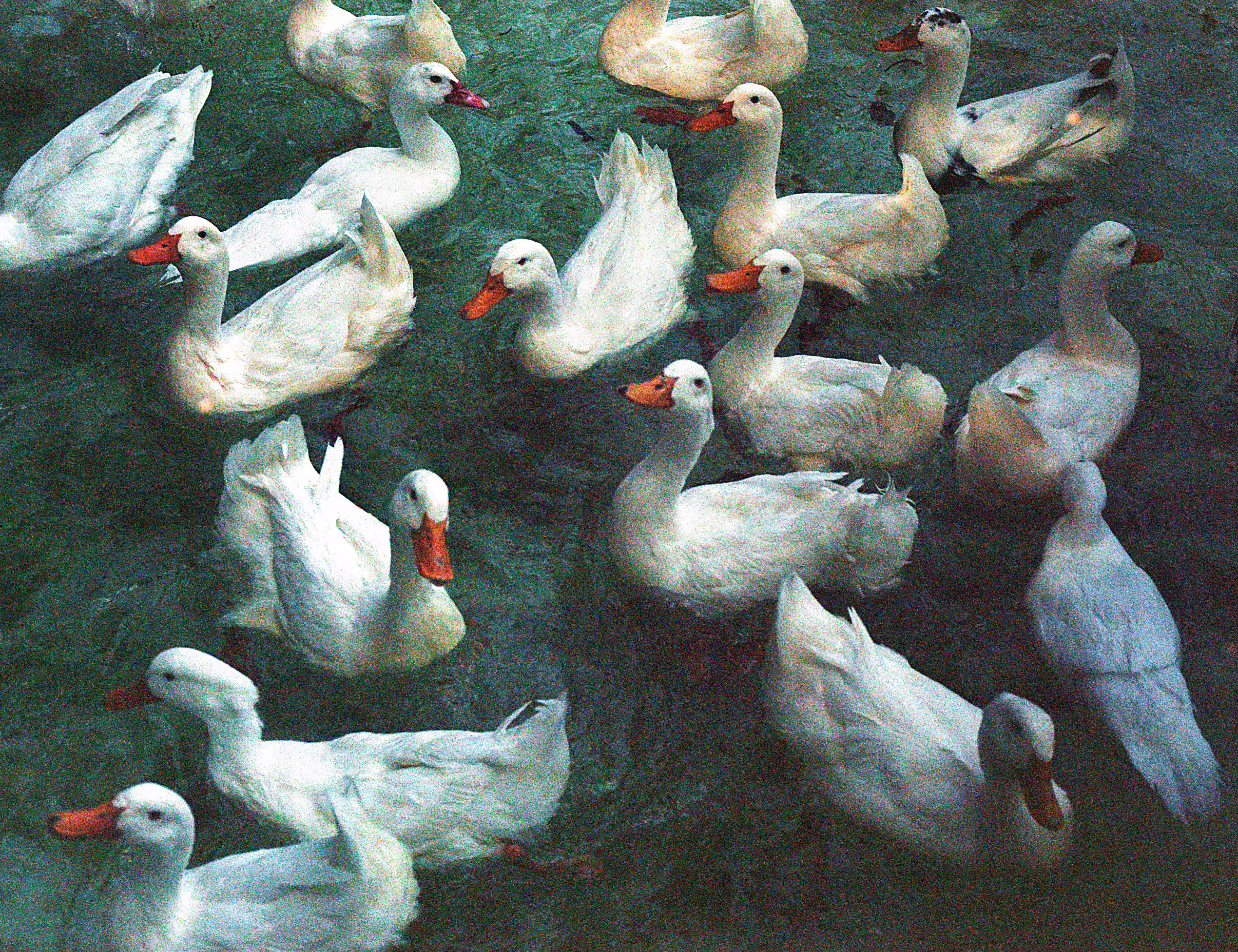 This is not a painting...