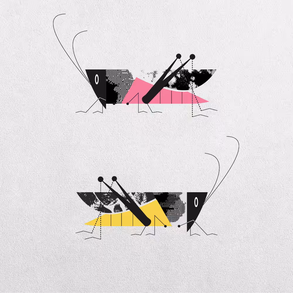 Grasshopper Abstraction #1