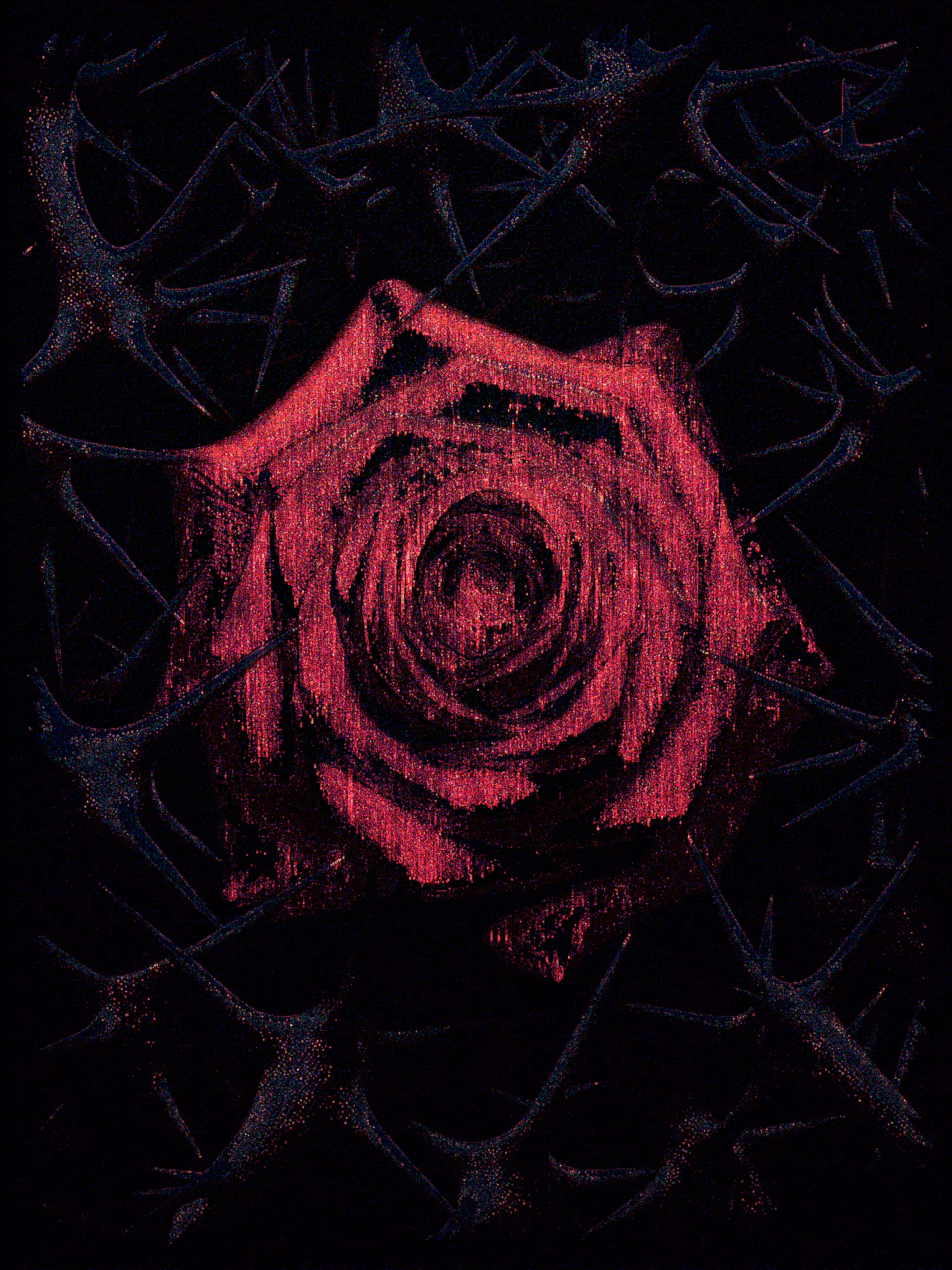 A Rose Among Thorns