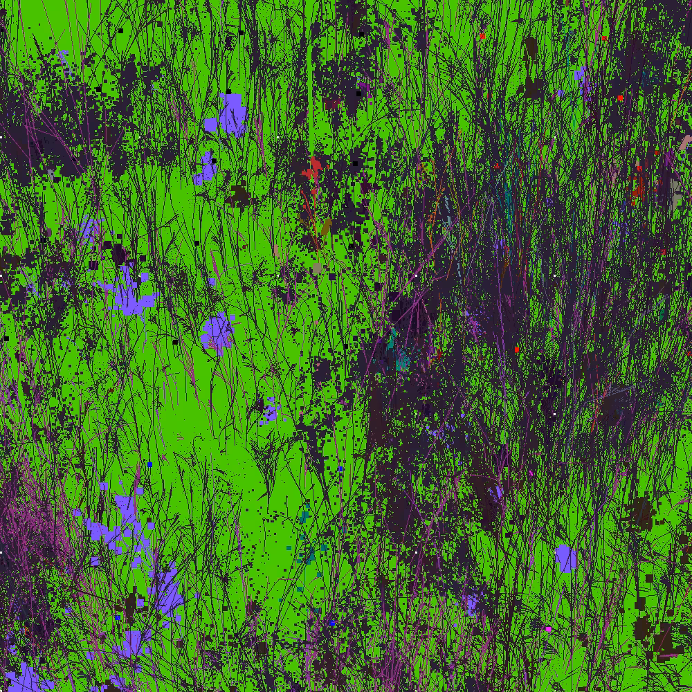 Infinite Garden: 27156 Flowers