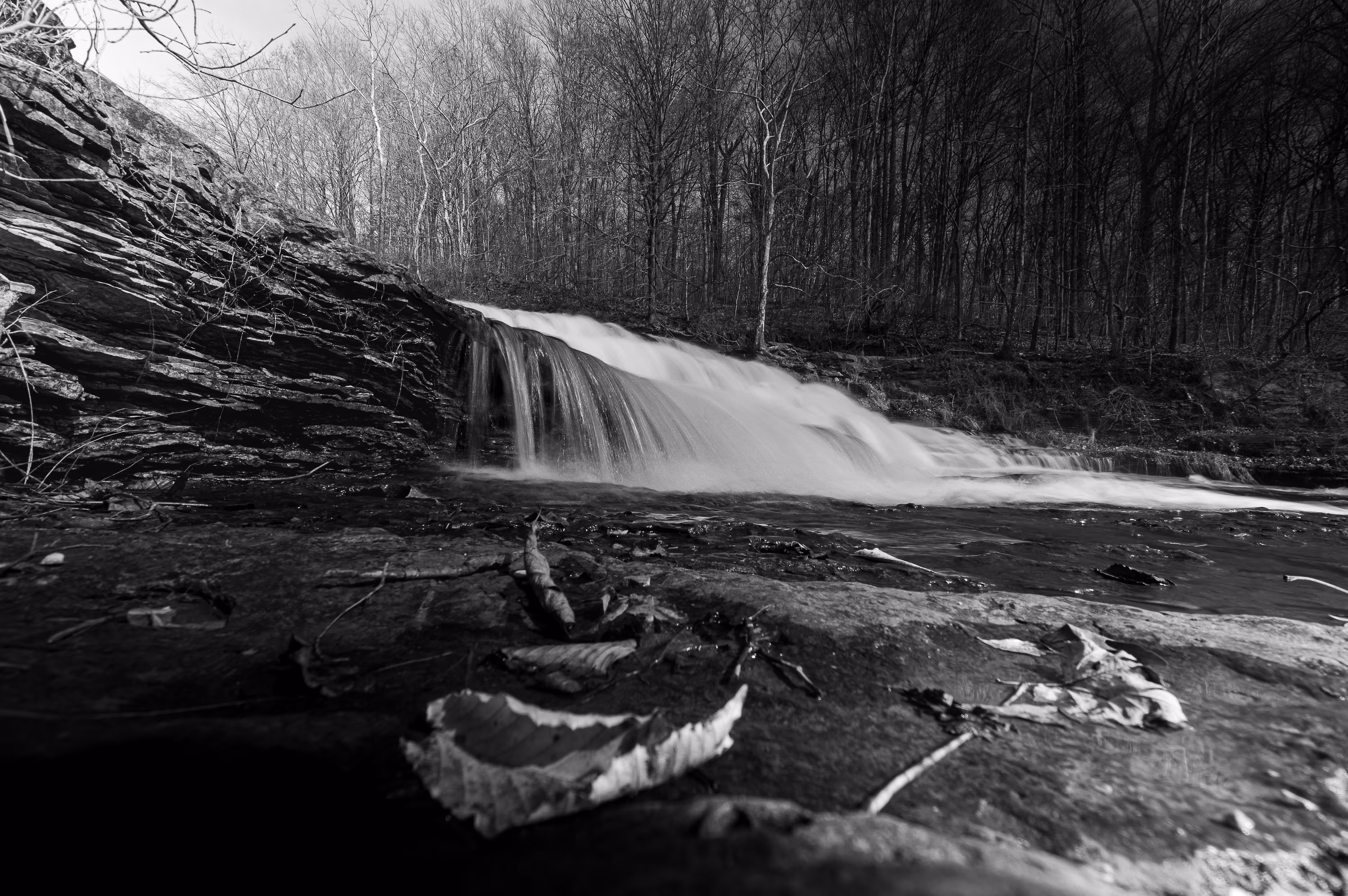 The Nature of Water
