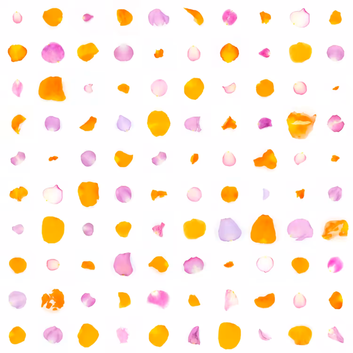 Infinite Petals 10x10#10060