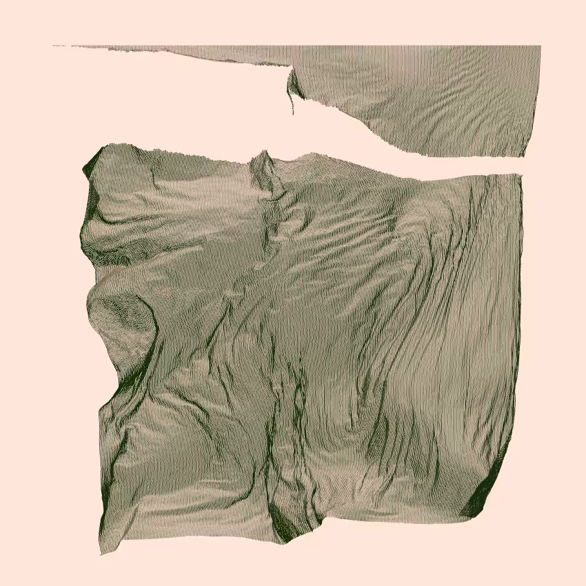 Fibril #79