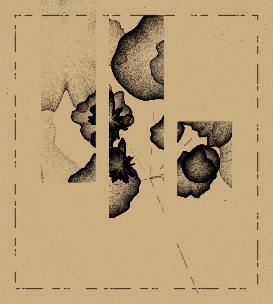 Generacci #119