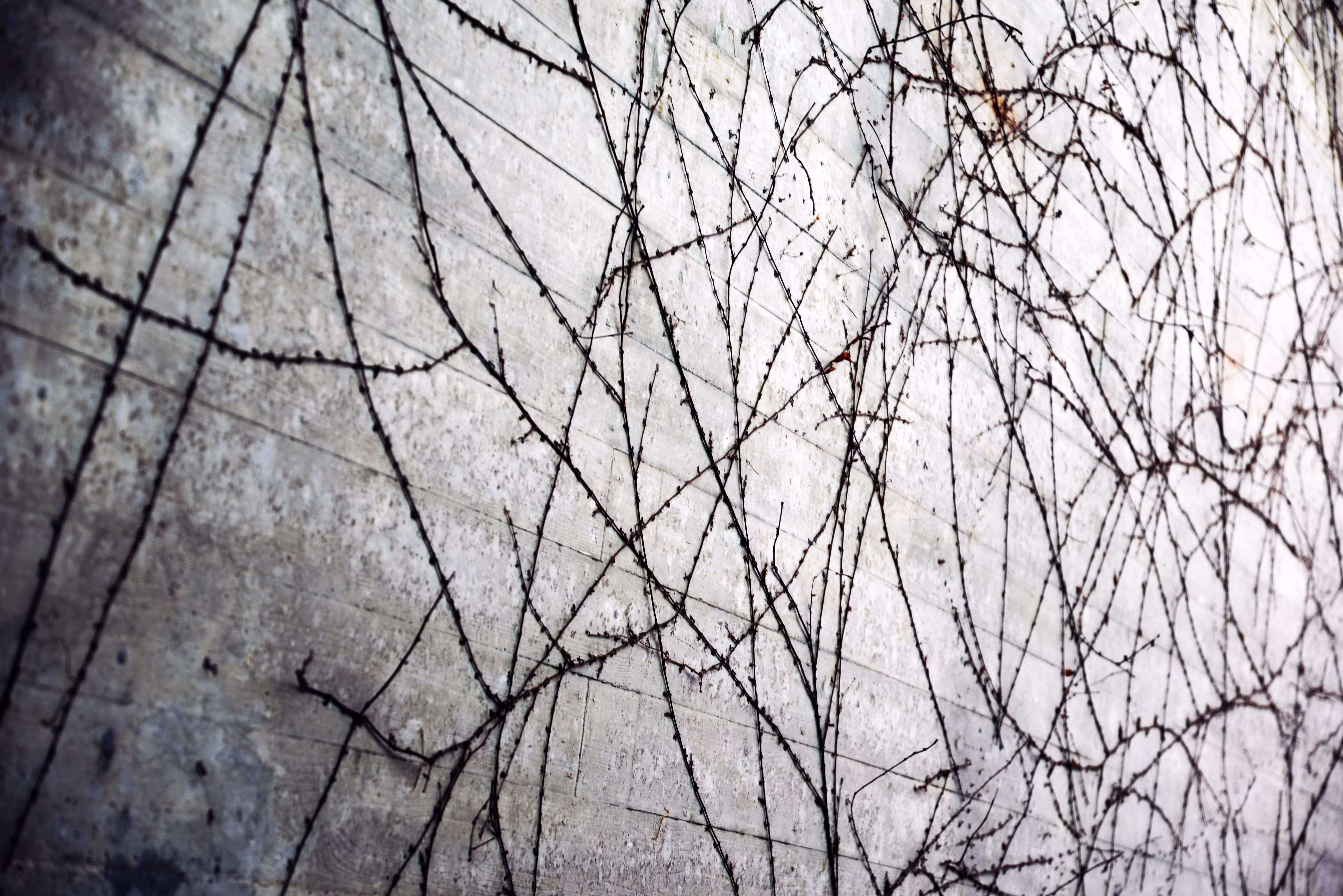 Concrete