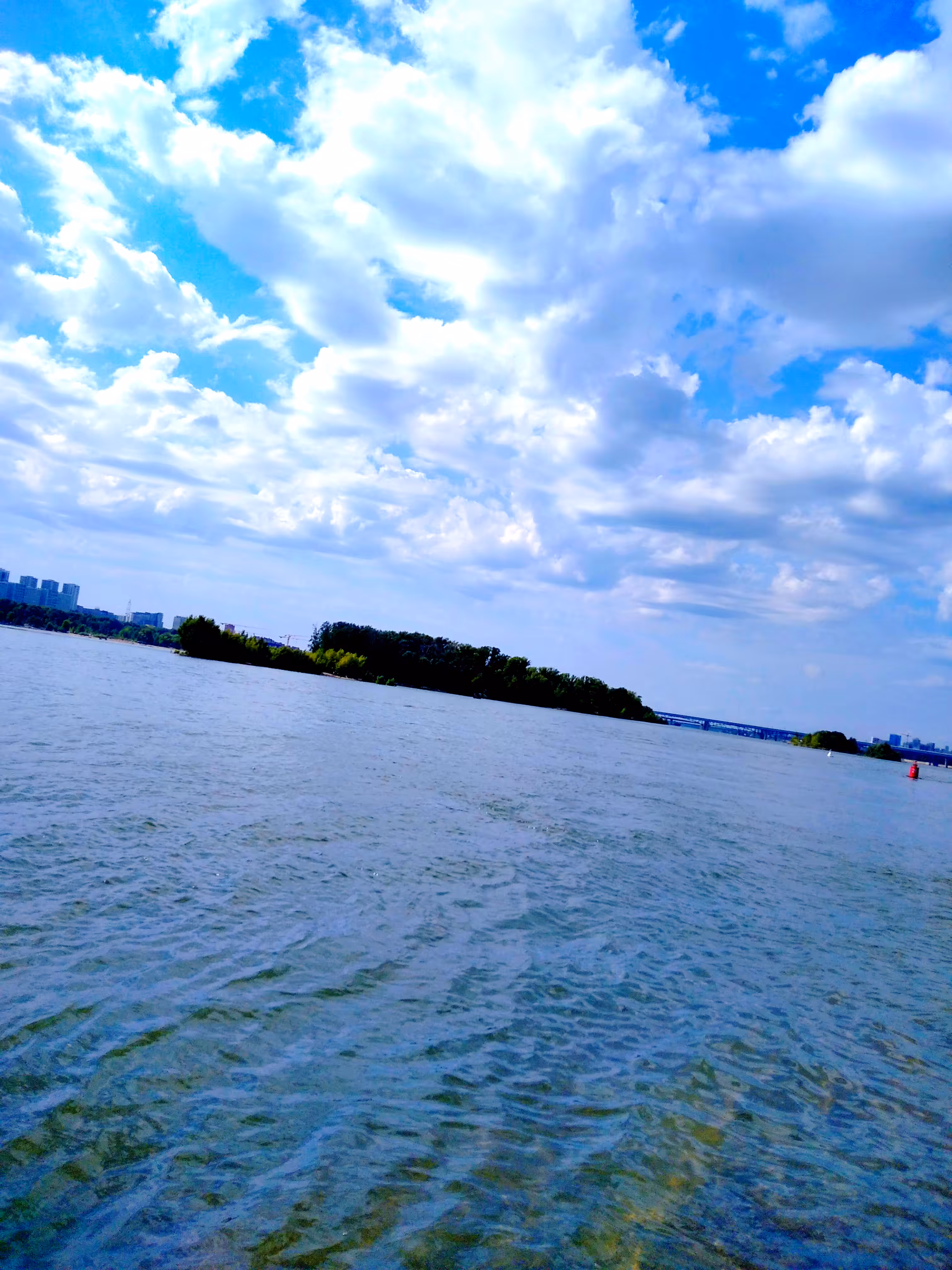 Nature #5