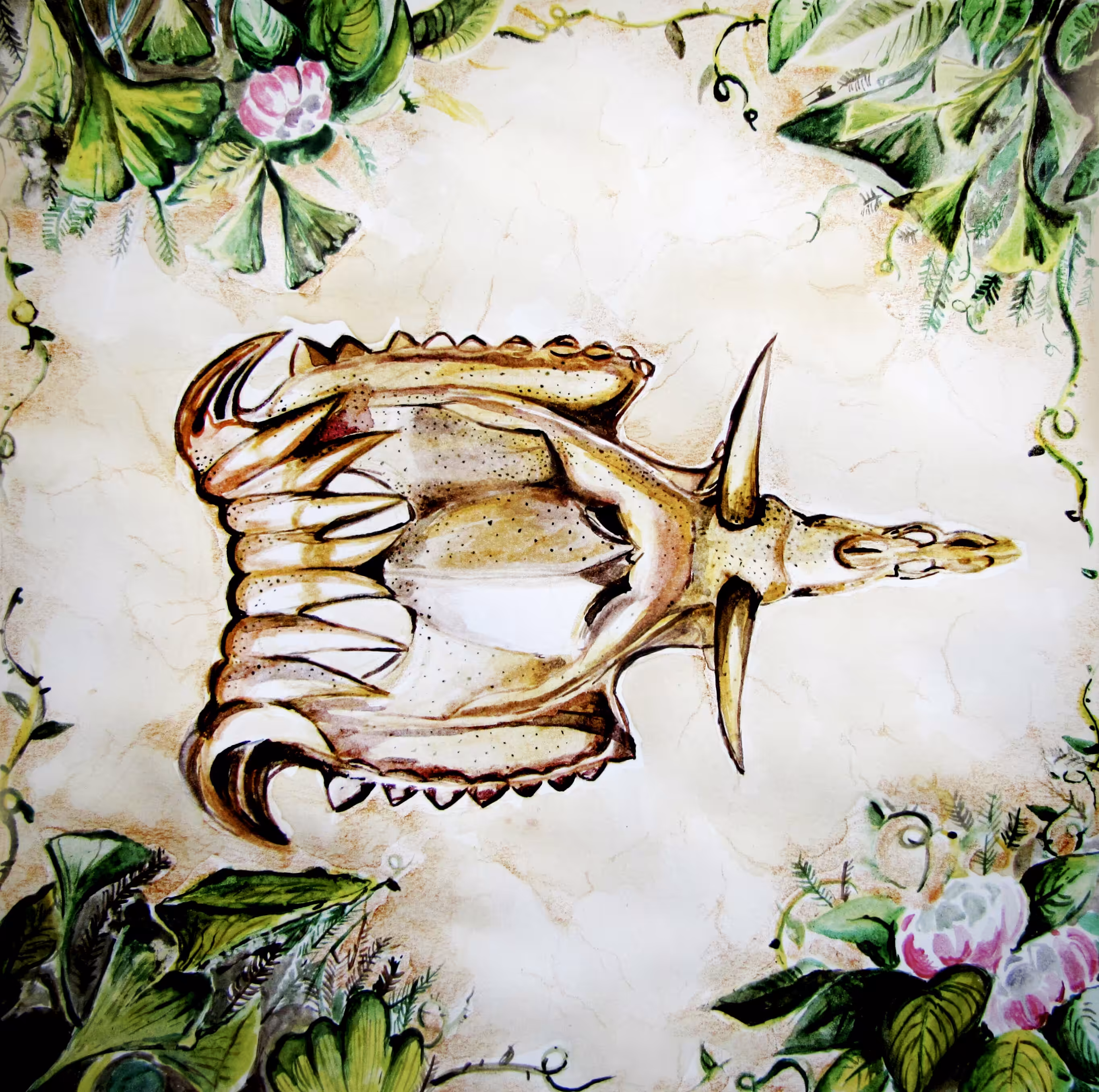 Dinosaur skull