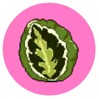 Goeppertia.1
