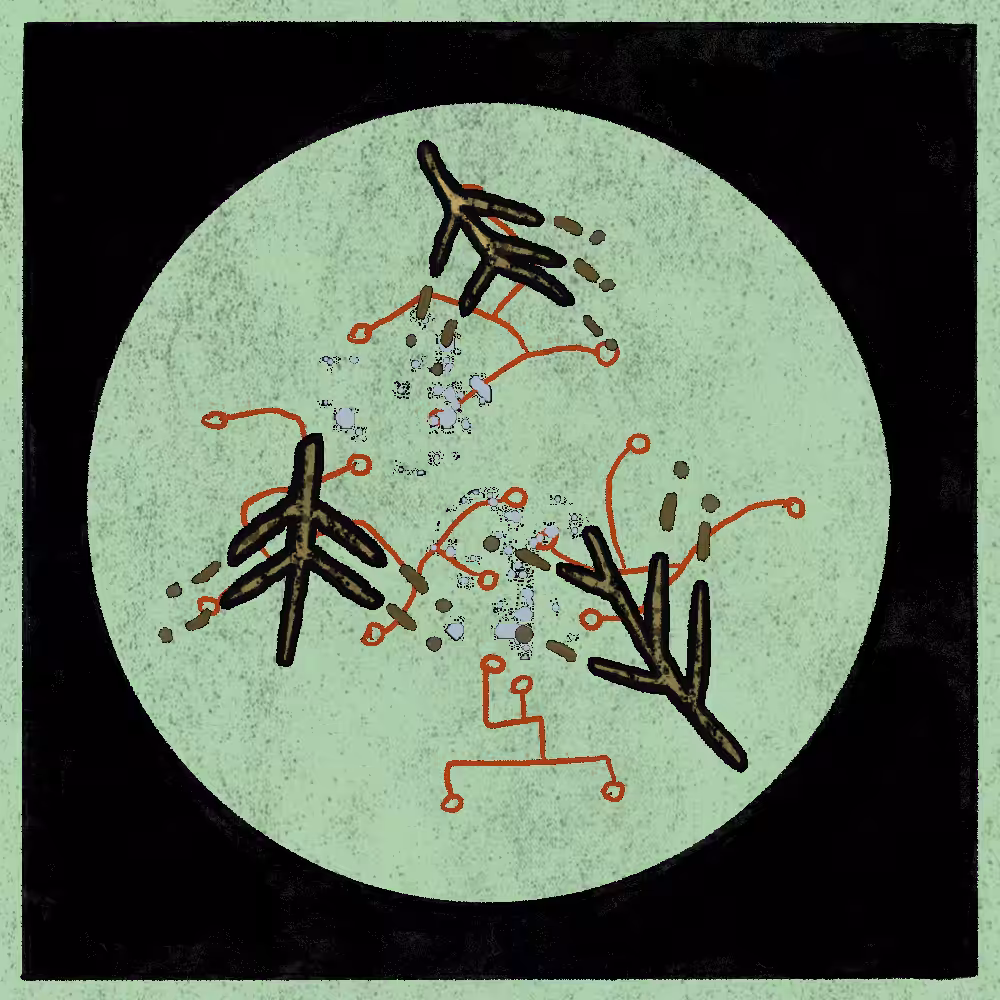 Microbes #68