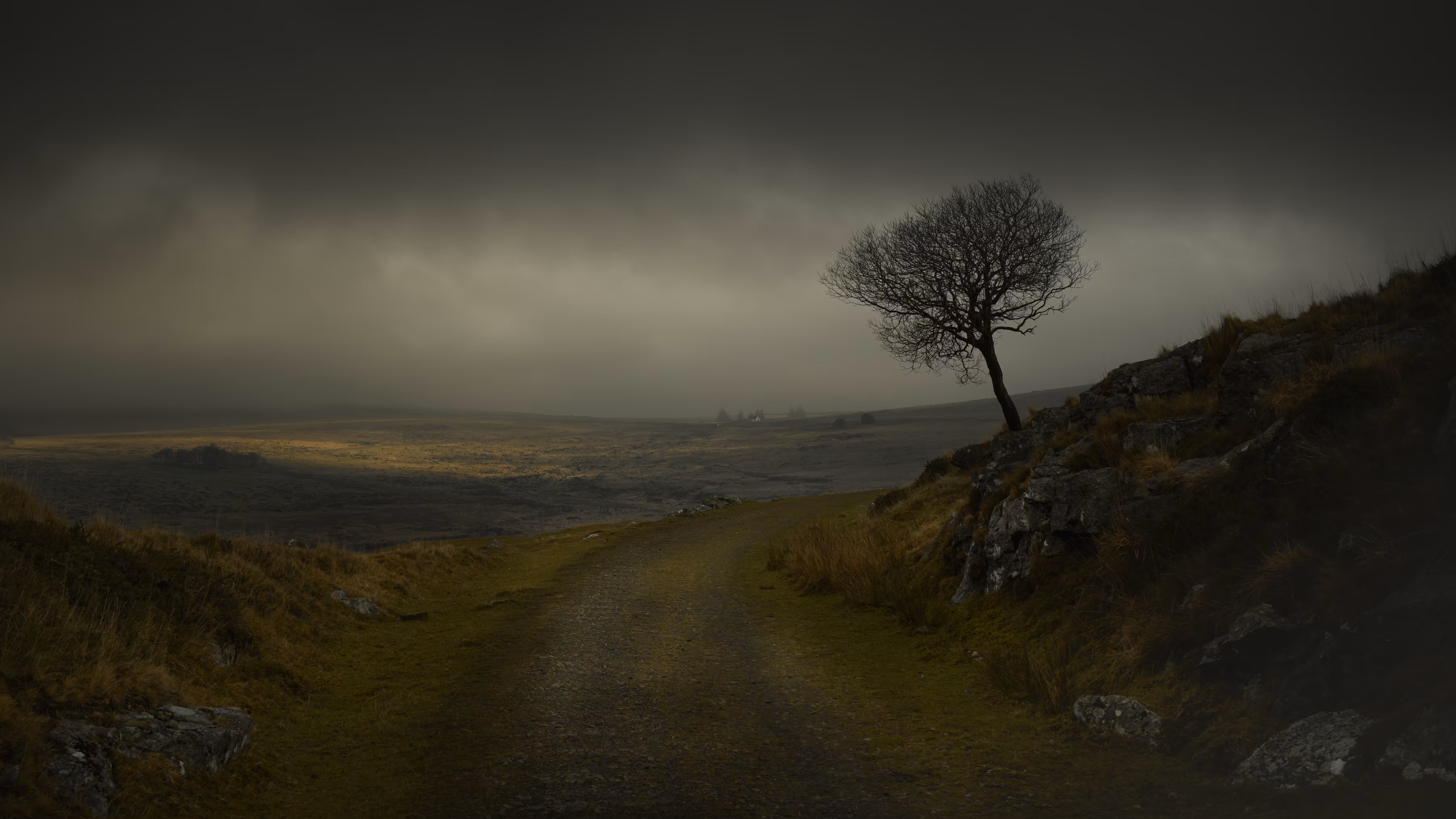 WUTHERING HEIGHTS
