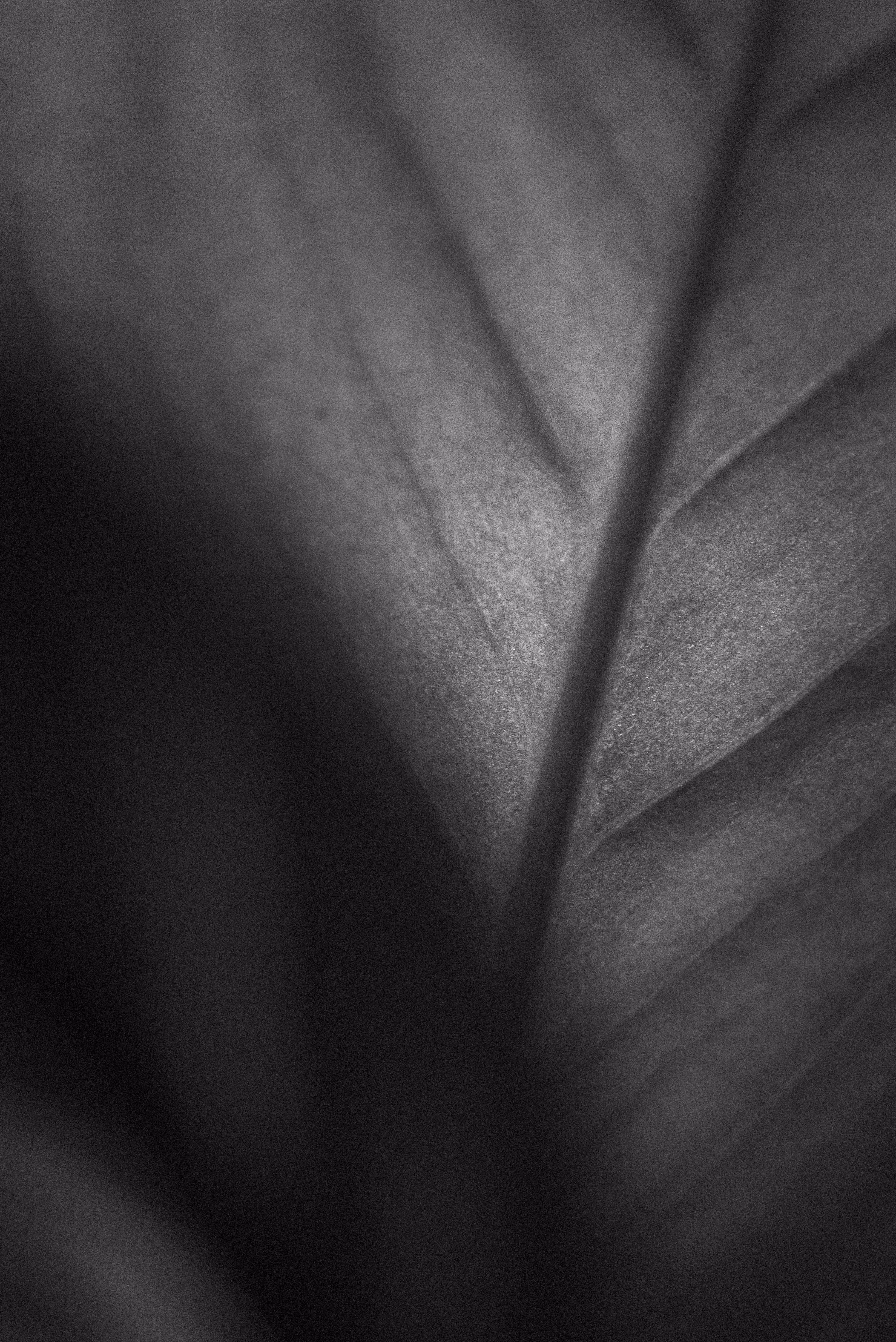 The Other Side