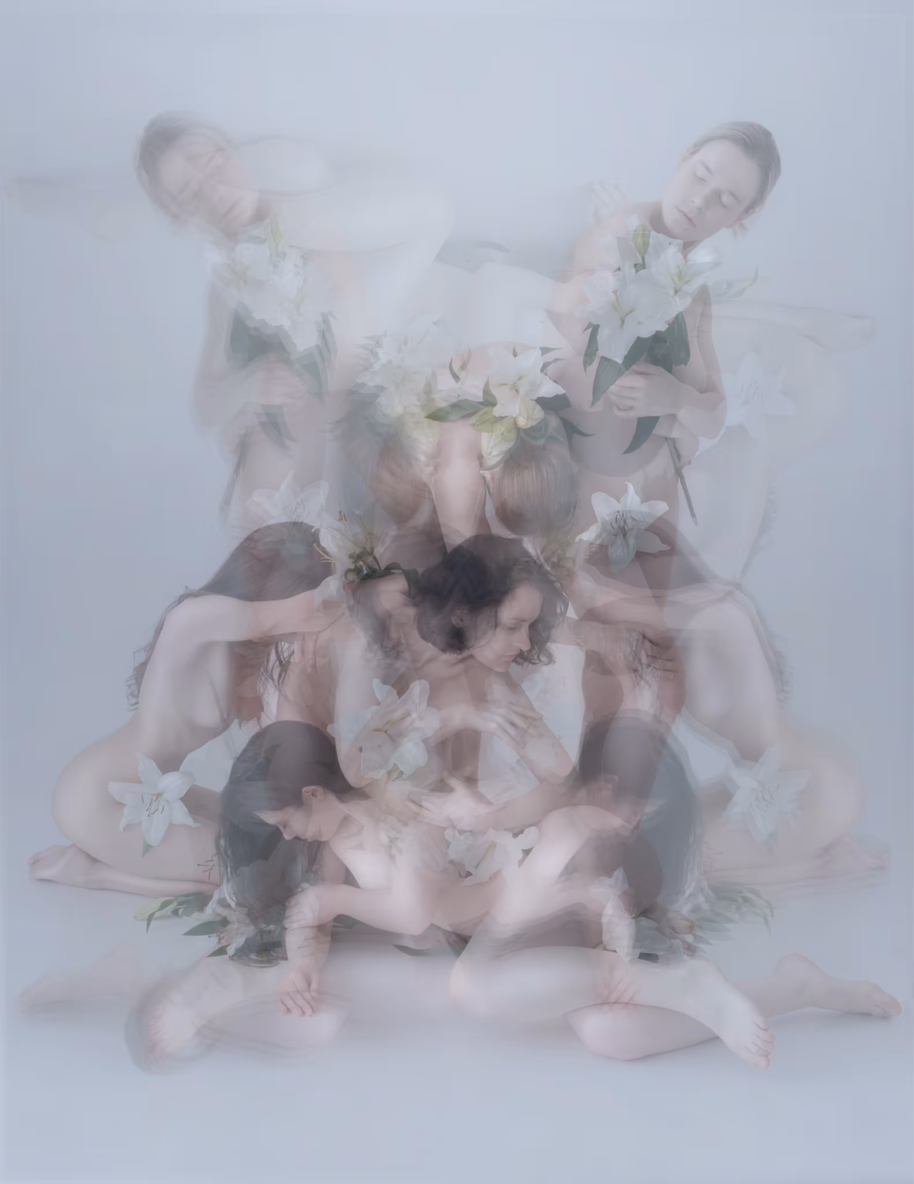 Echo #30