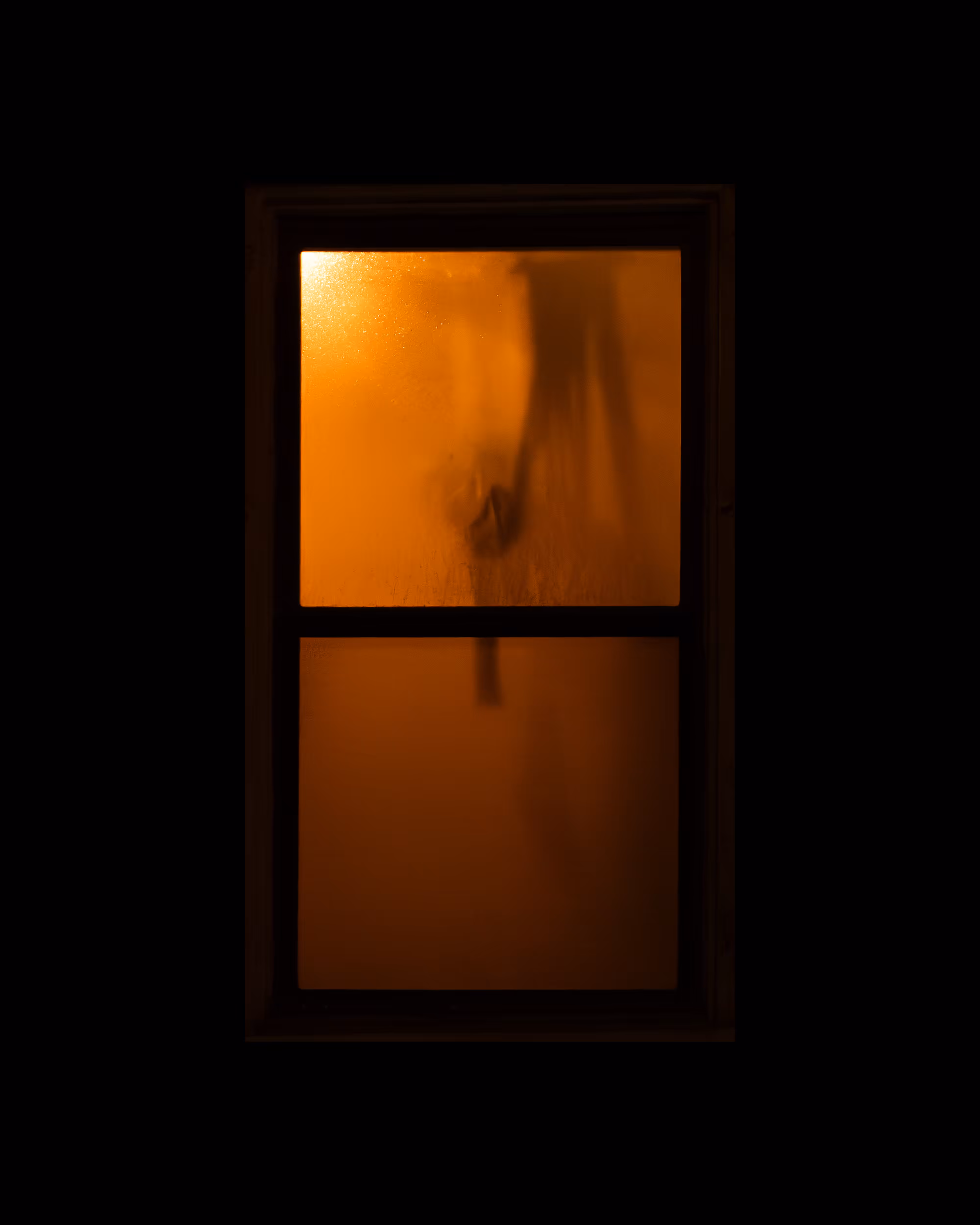 WINDOWS // NYC: WINDOW 422