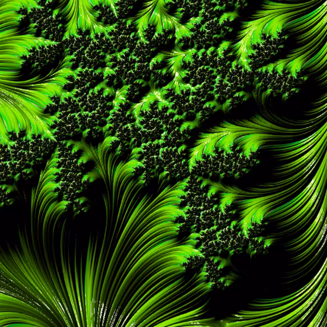 THE GREEN ONE