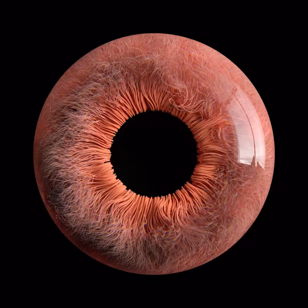 Eye See You