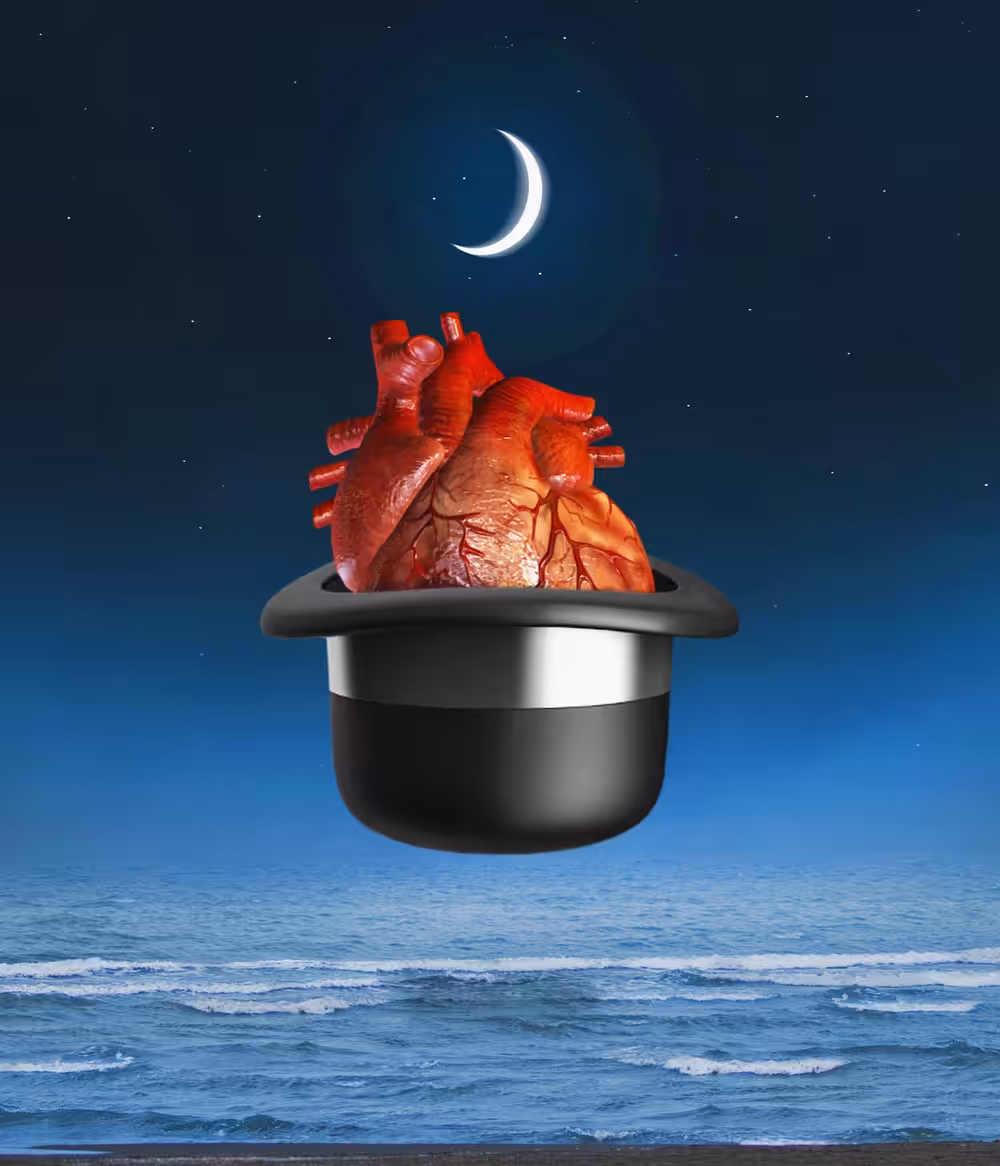 Magic of the night