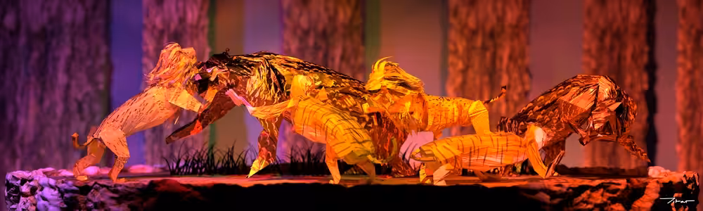 Lions, Tigers, and Bears
