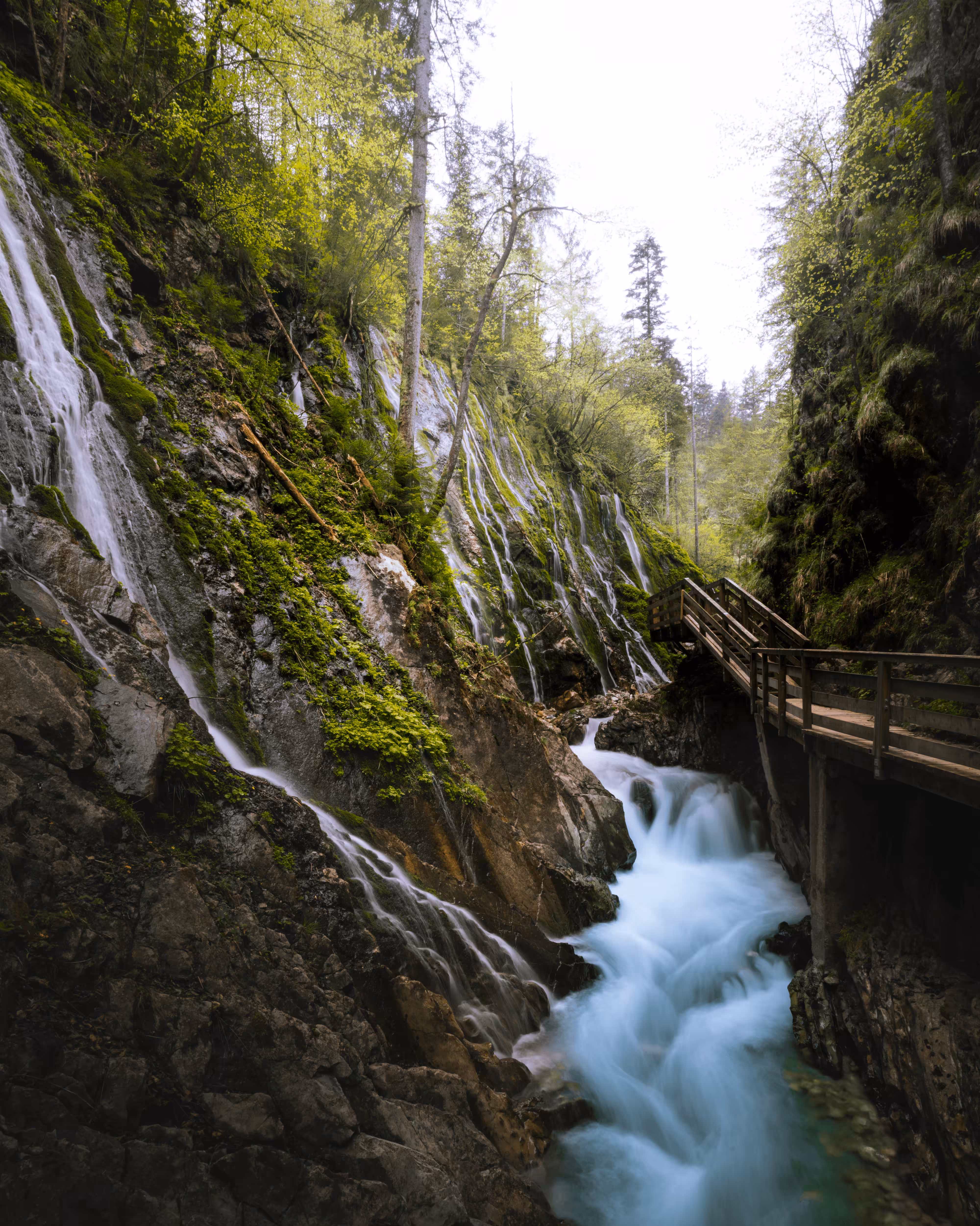 #91 - Gates of Rivendell