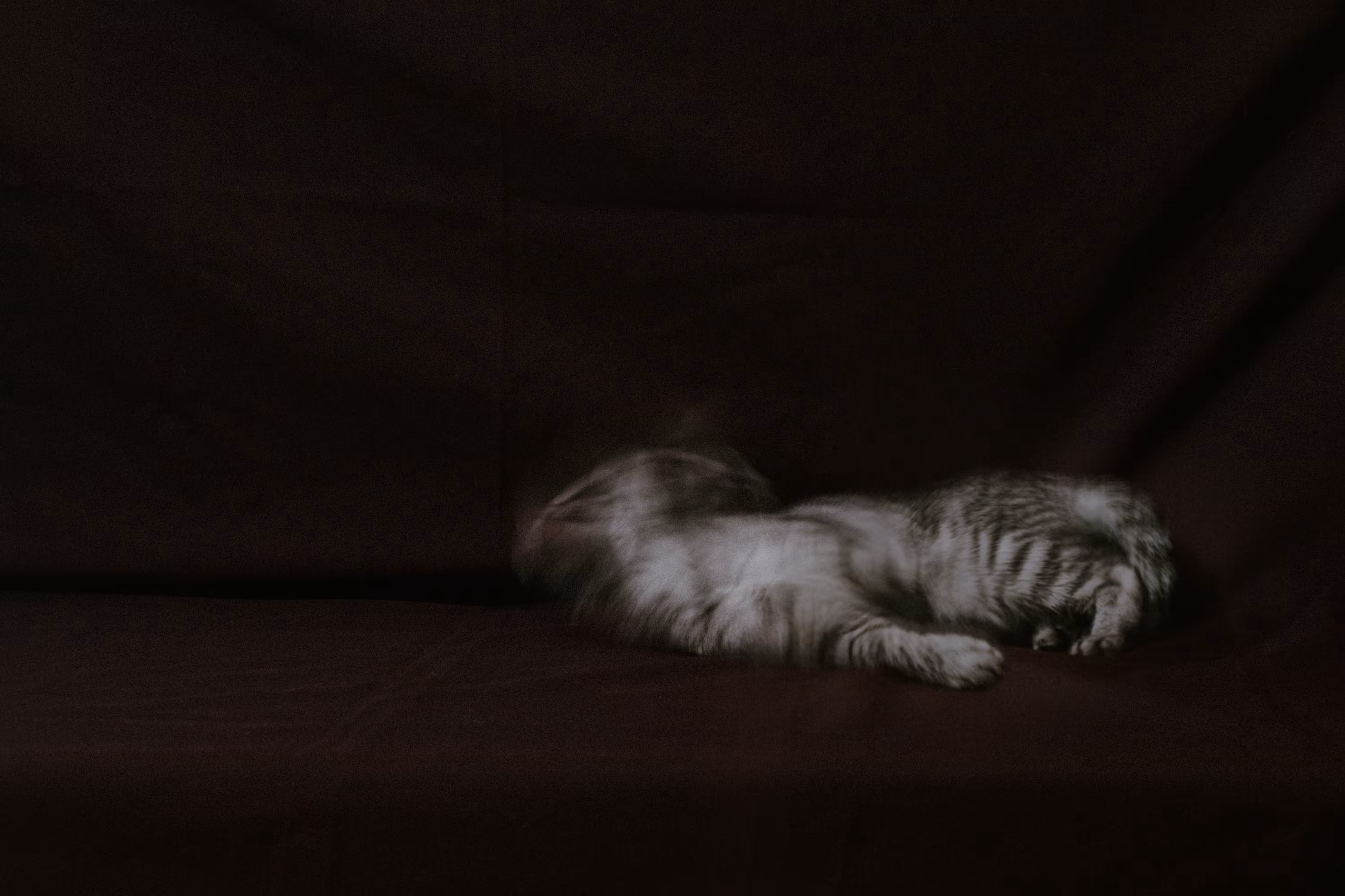 Dreaming in a dream
