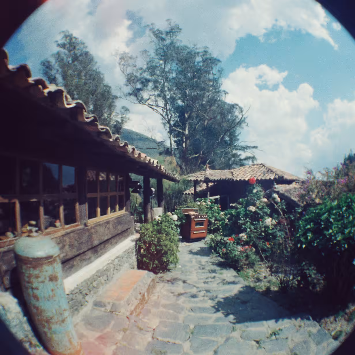 Outdoor Kitchen