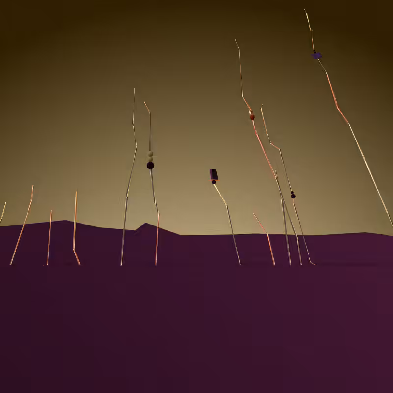 caravans #167