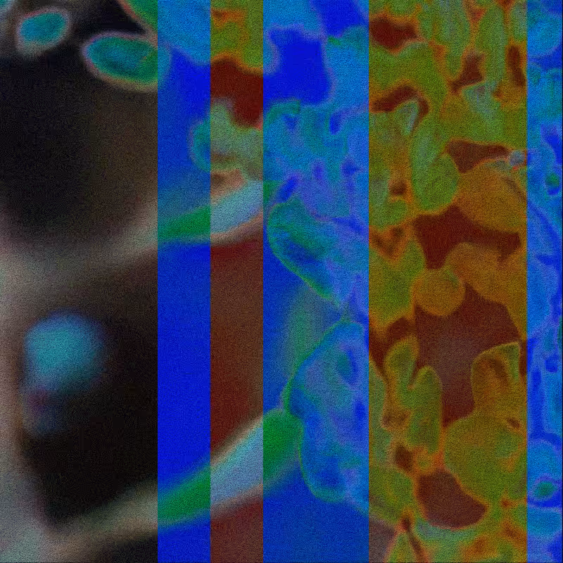 CLDCSMC #159