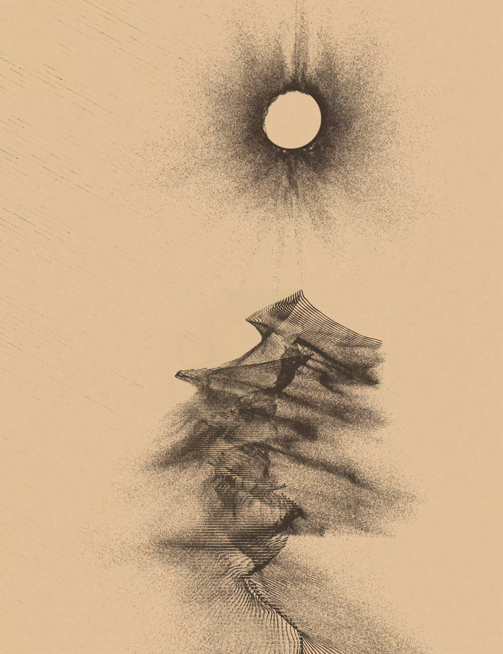 Momentary #344