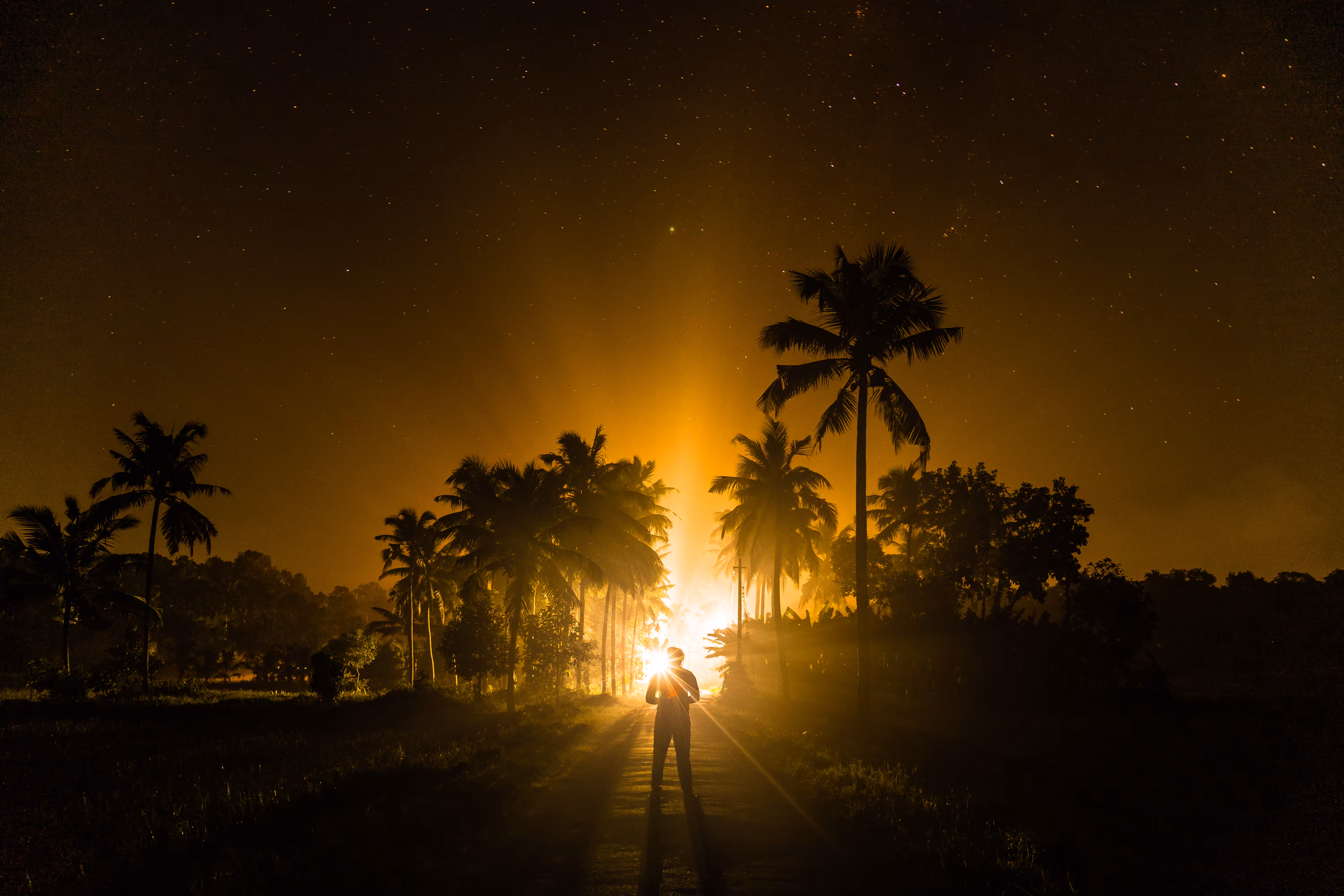 The golden aurora 