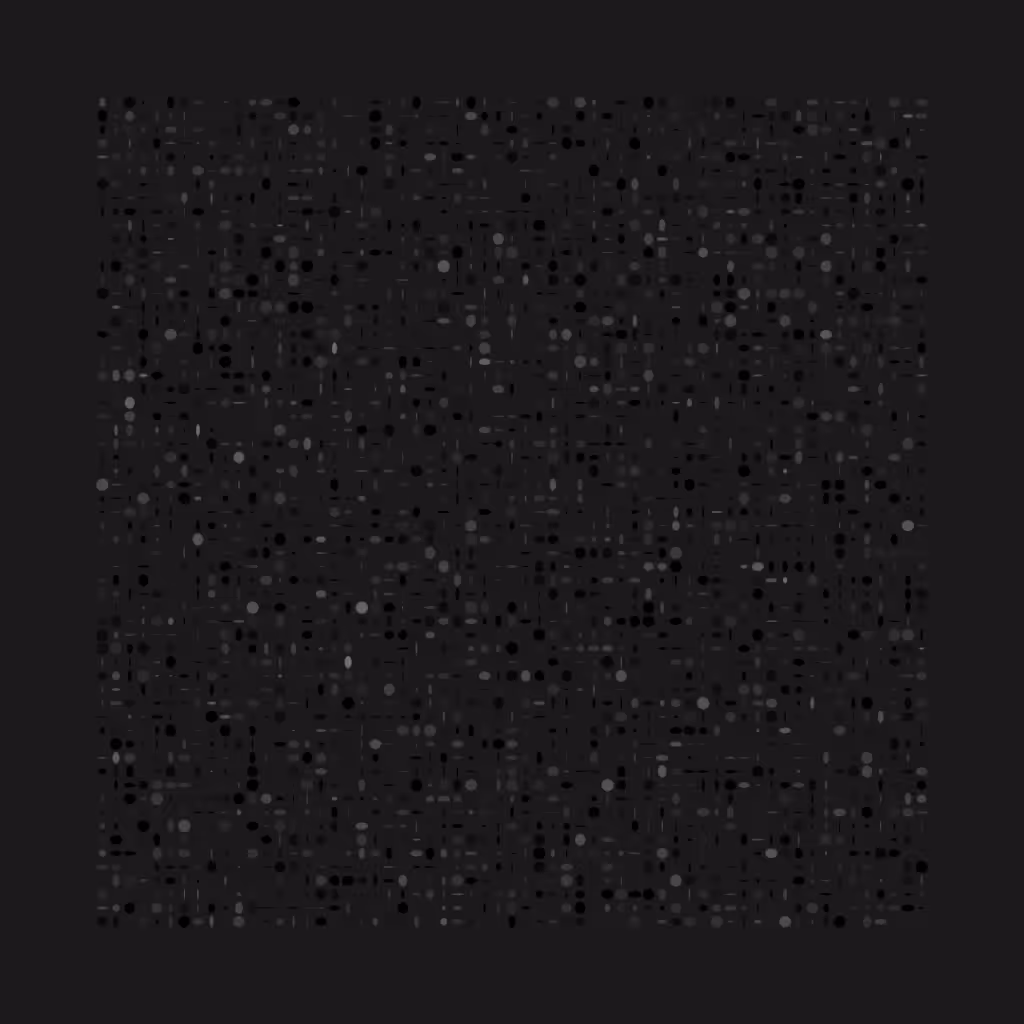 Scintilla Nera