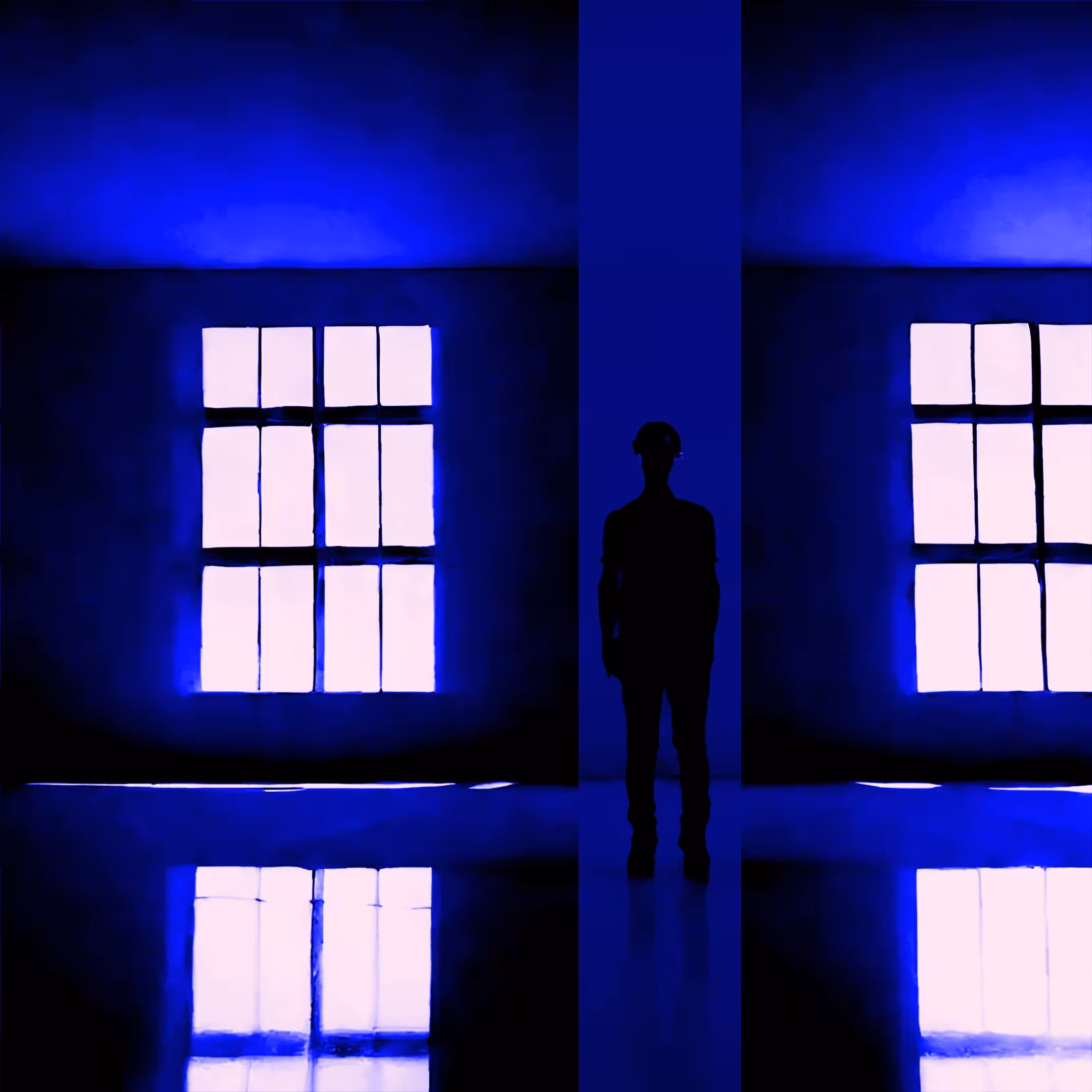THE BLUE ROOM
