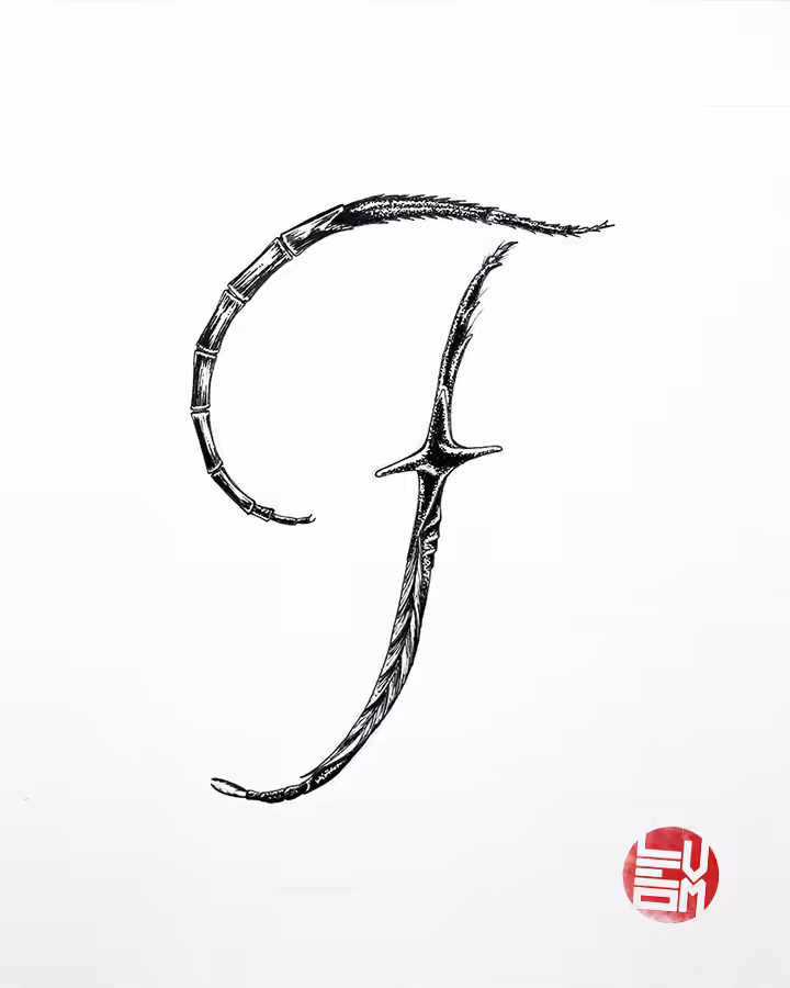 Insecttering: F - Insecttering