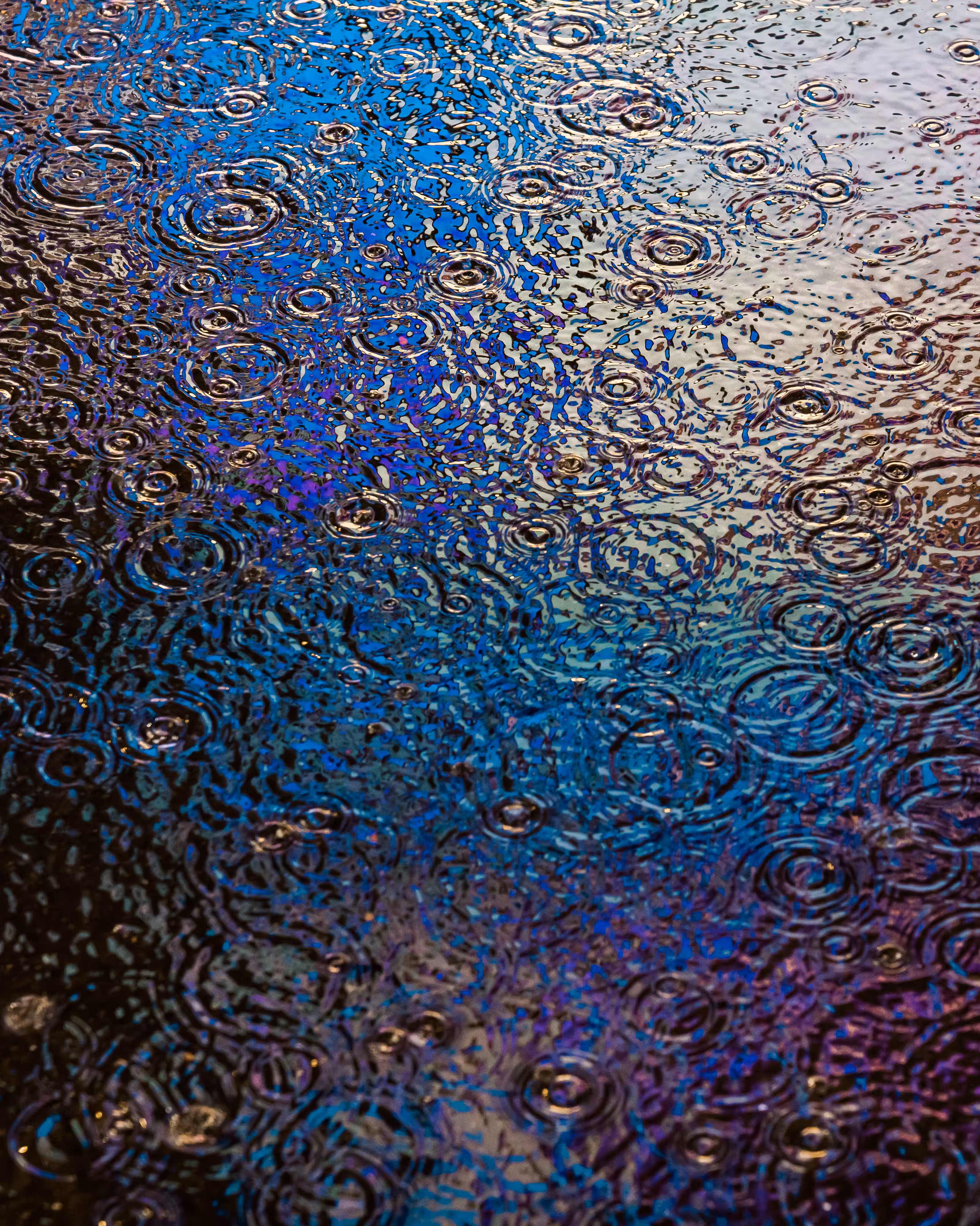 DRIP DROP: DRIP #55