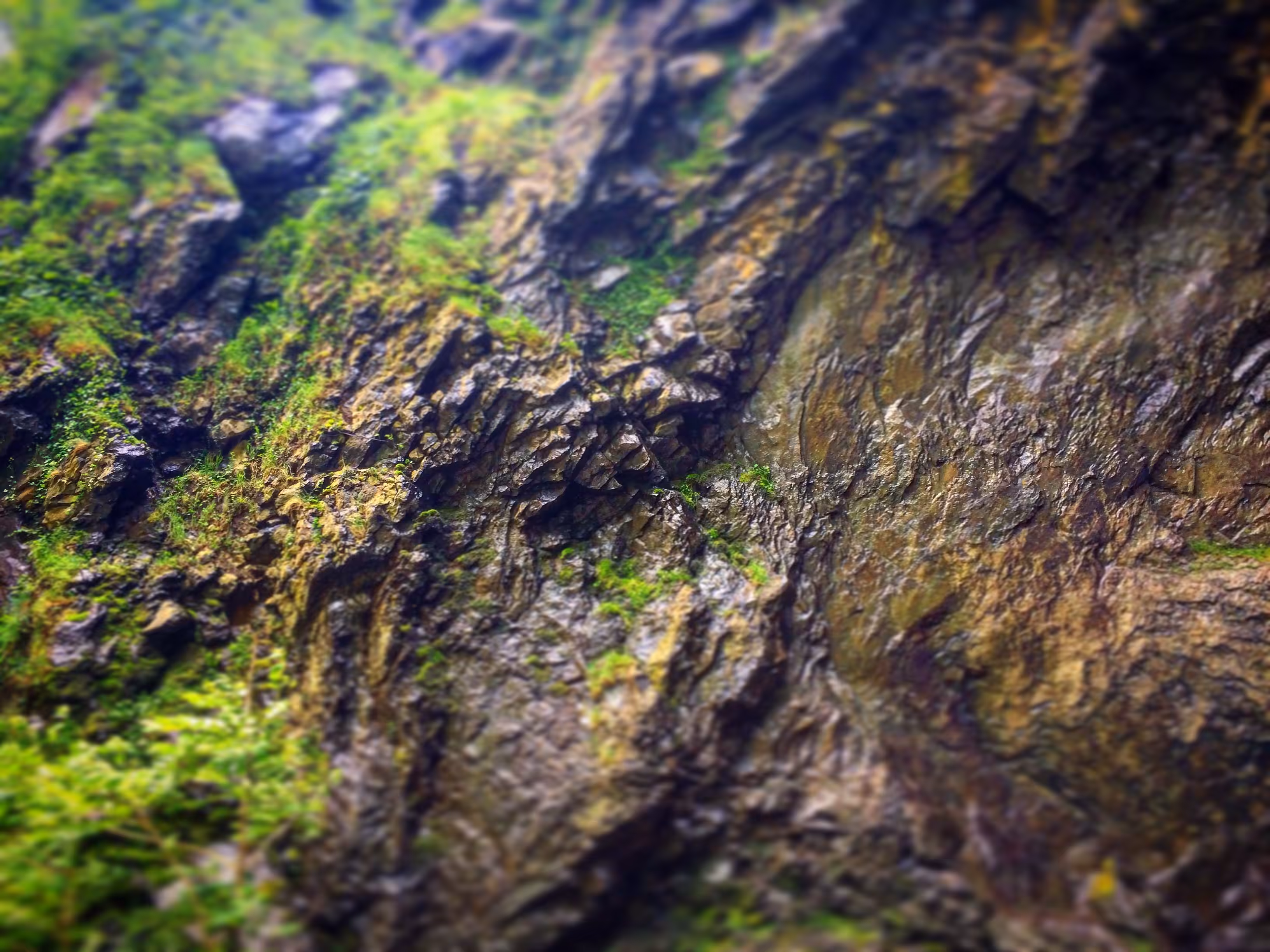 Rock
