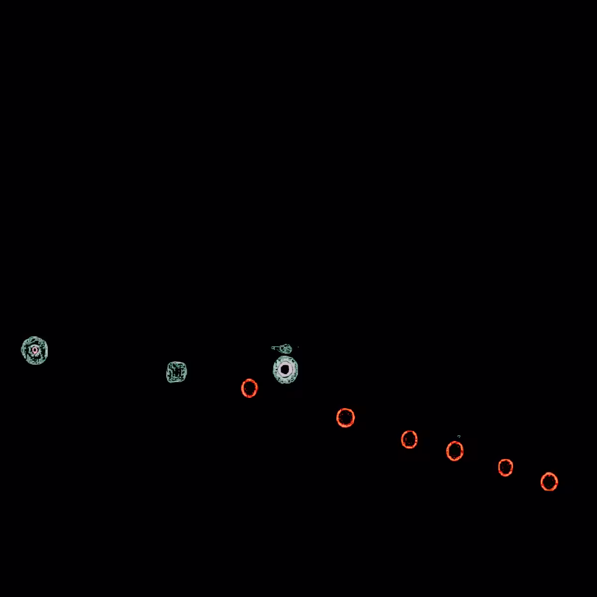 m2111241338png1200x1200