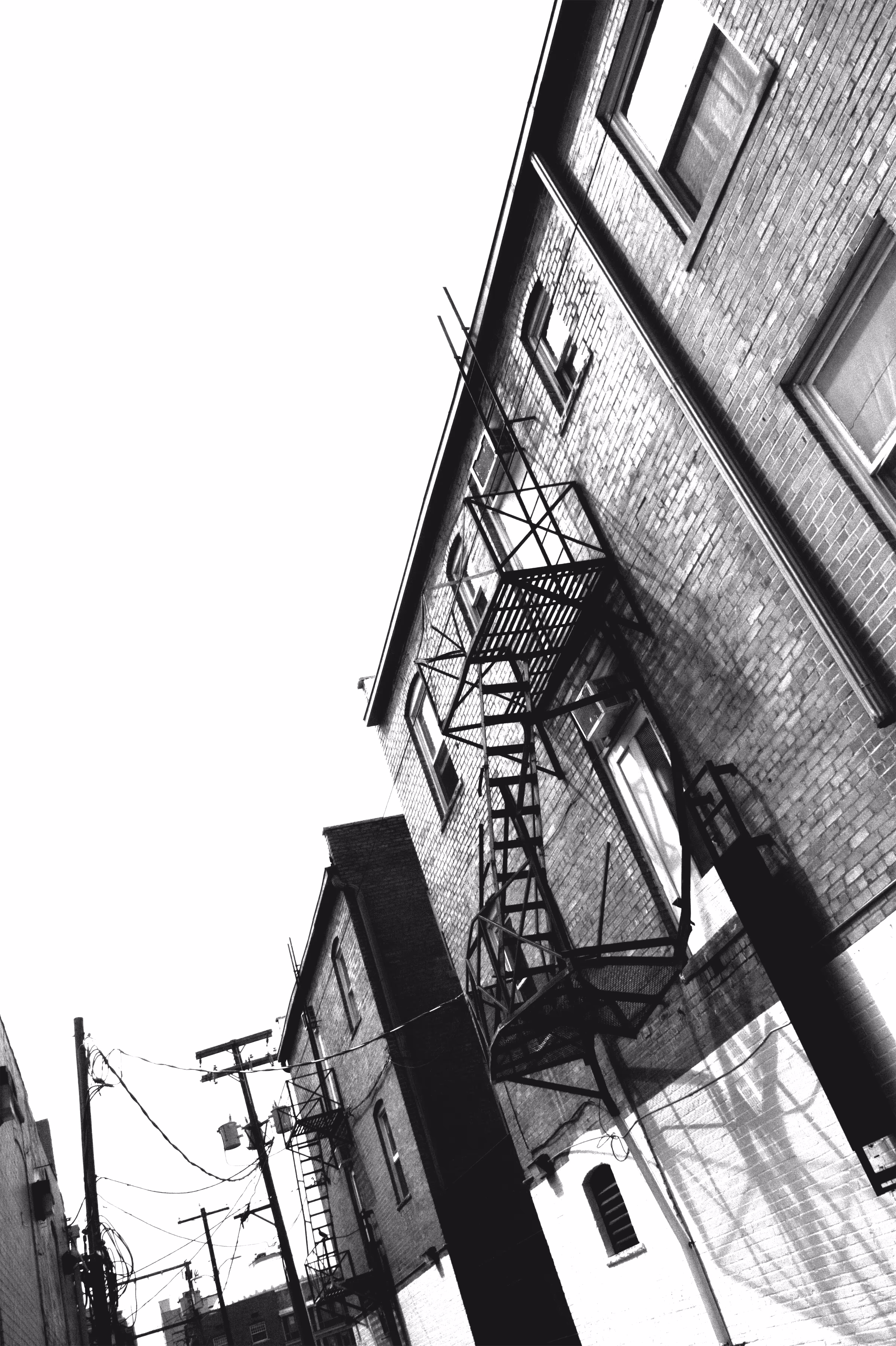 Contrasted Lines